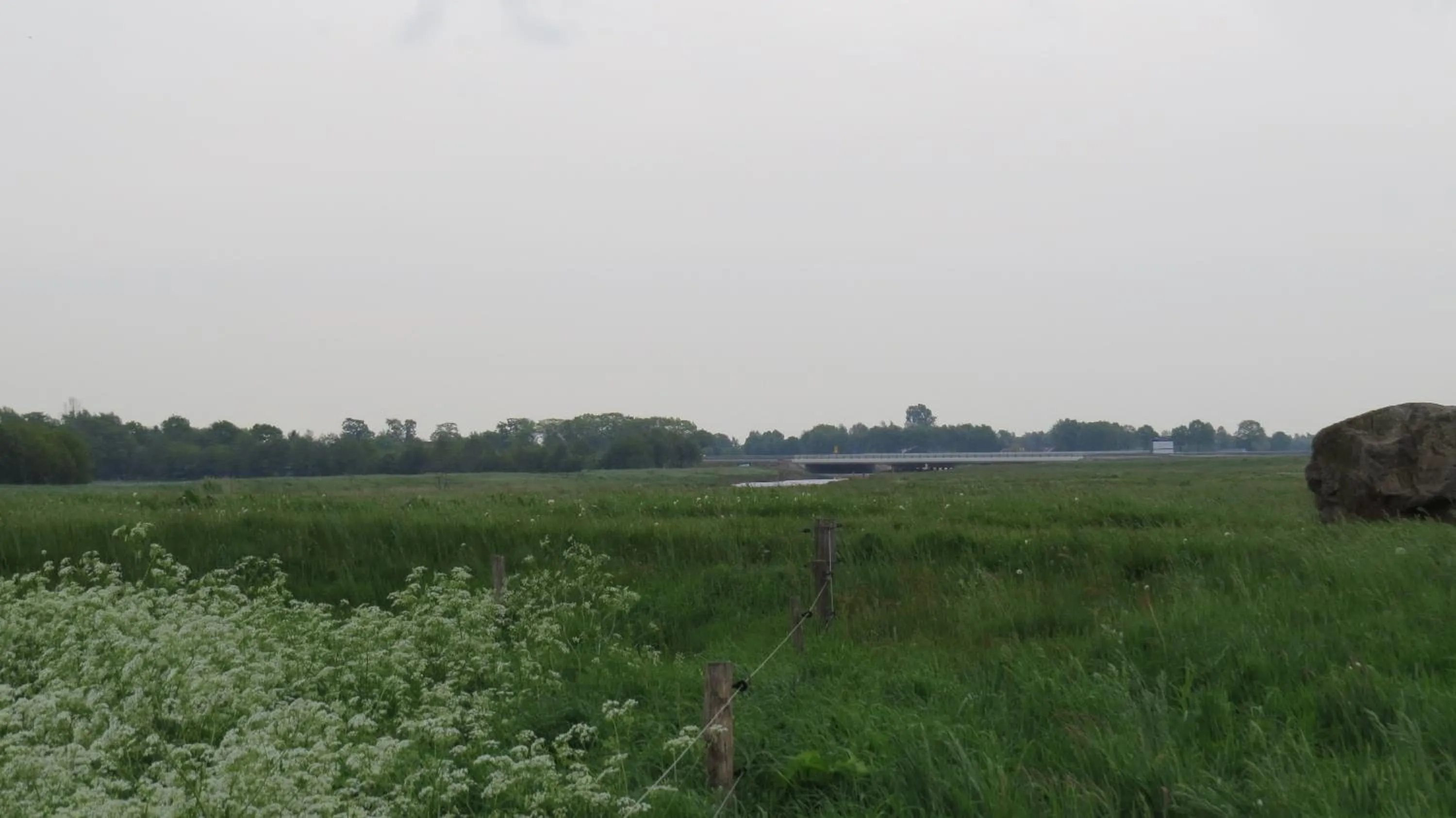 Neighbourhood in 't Zwanemeer