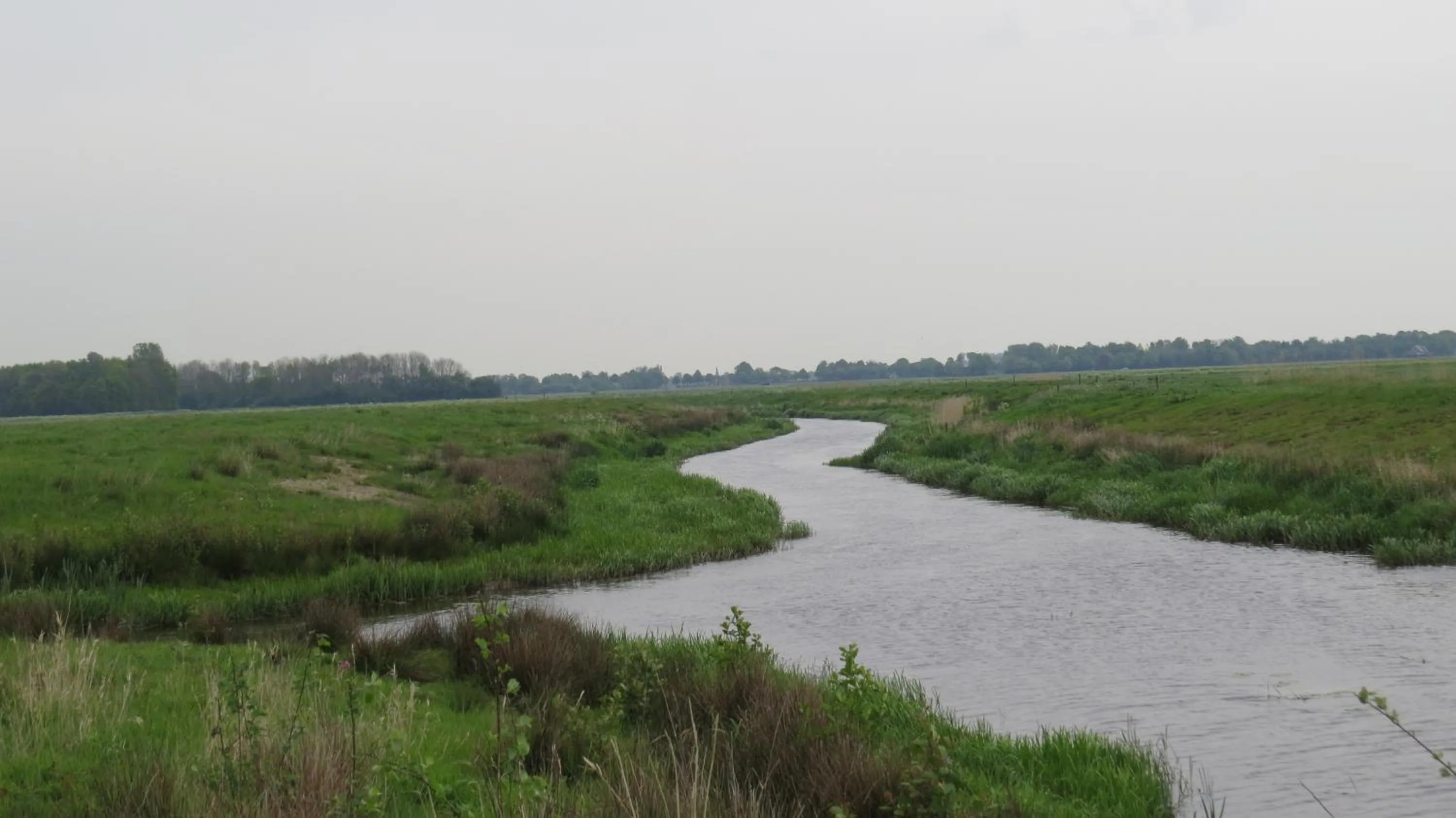 Natural landscape in 't Zwanemeer