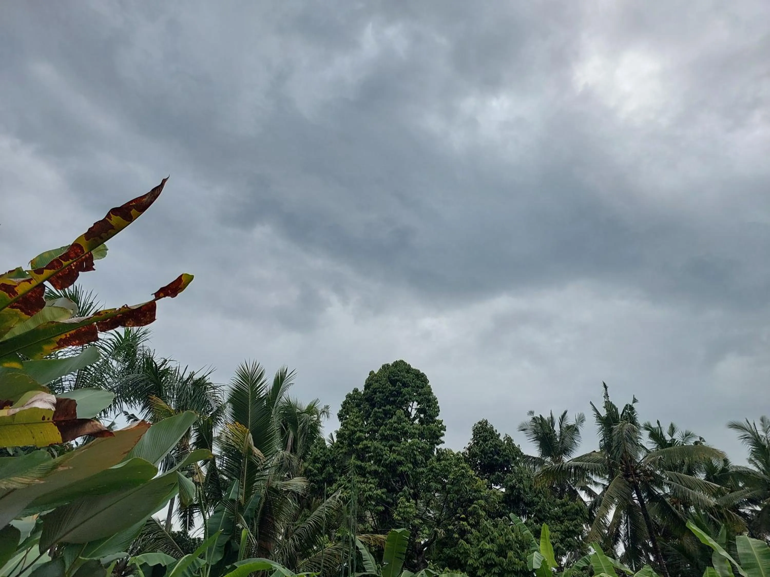 Spring in Prema Shiva Suites and Villas by EPS