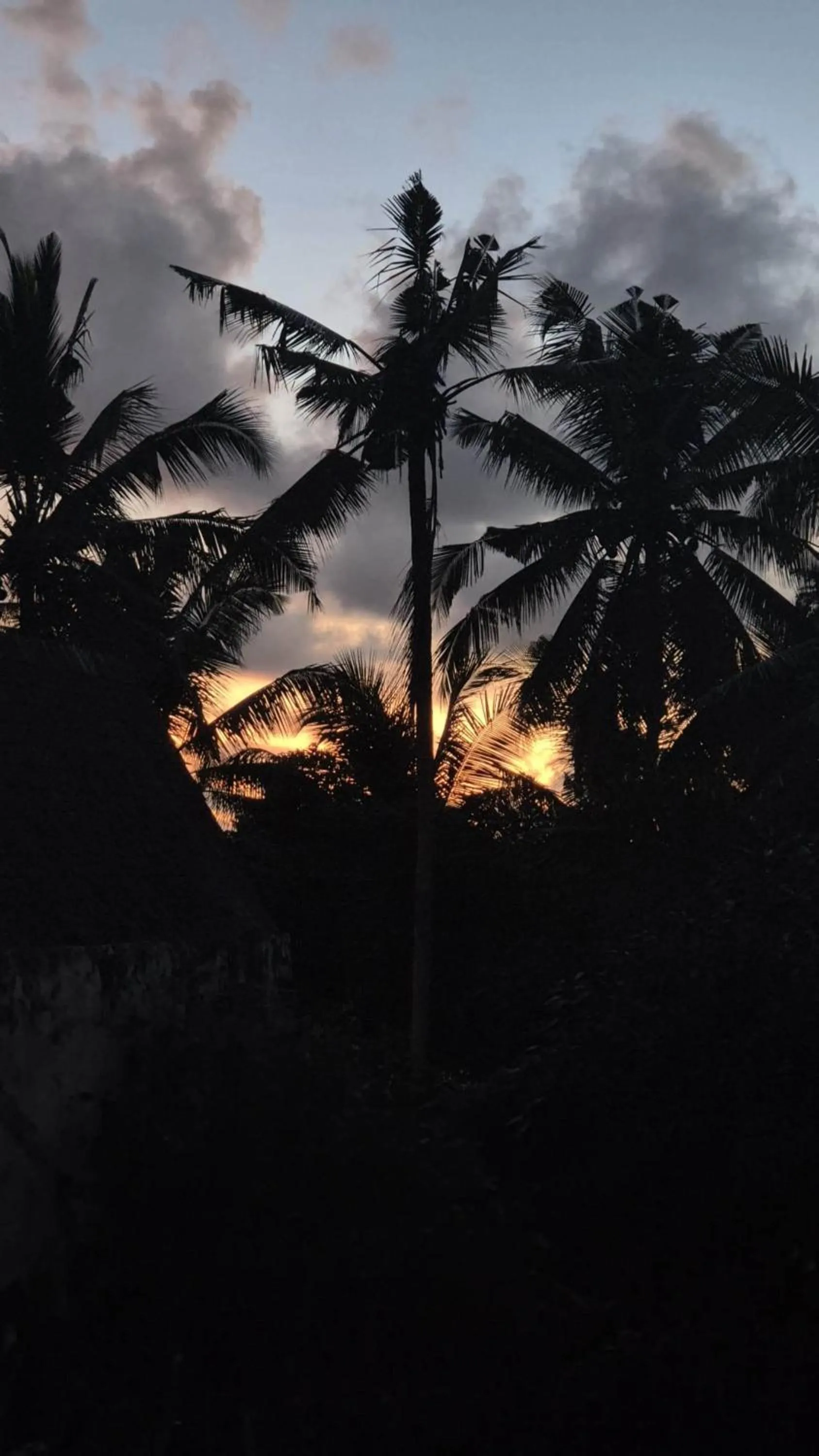 Bird's eye view in Prema Shiva Suites and Villas by EPS