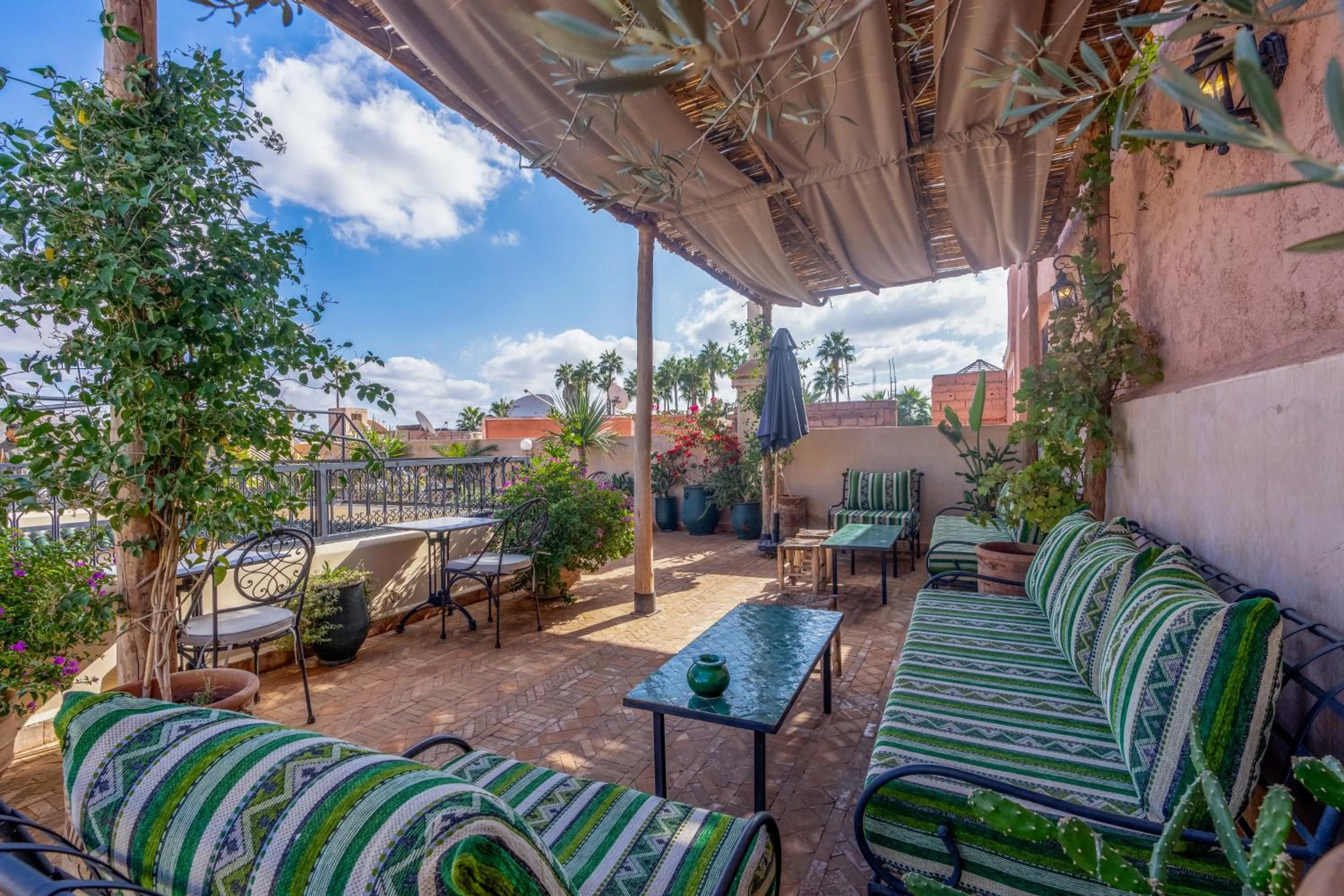 Spring in Riad Amalia