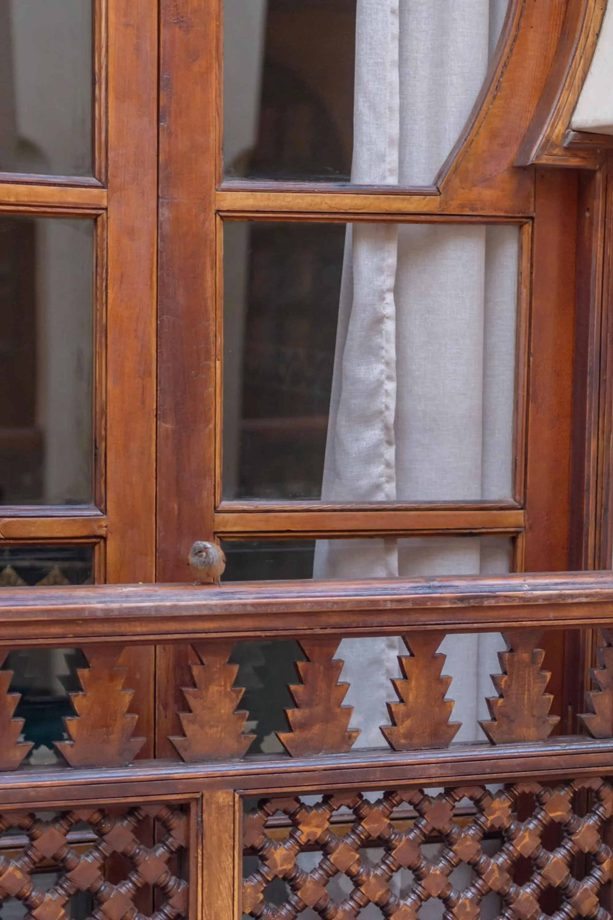 View (from property/room) in Riad Amalia