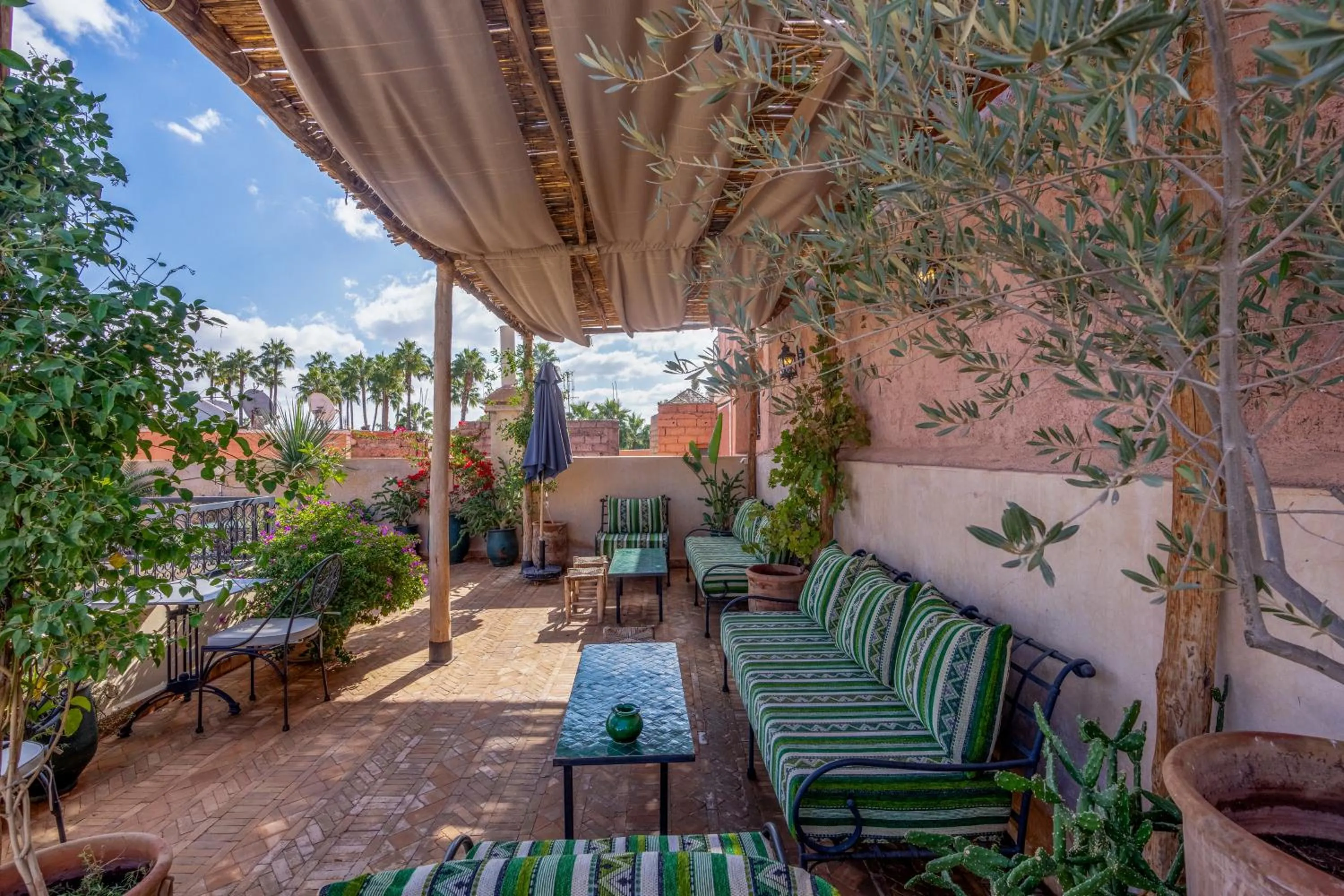 Spring in Riad Amalia