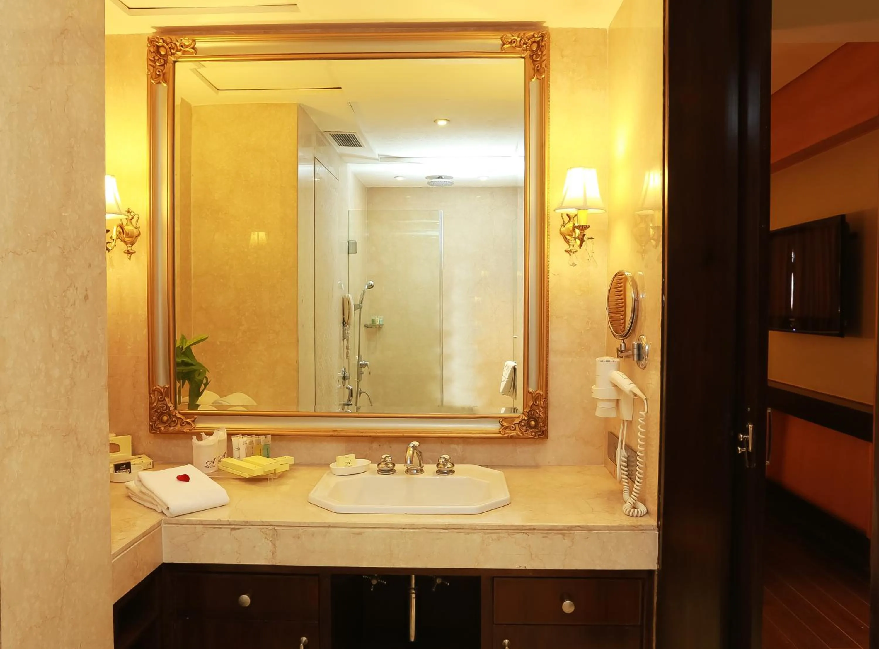 Bathroom in The Ashok, New Delhi