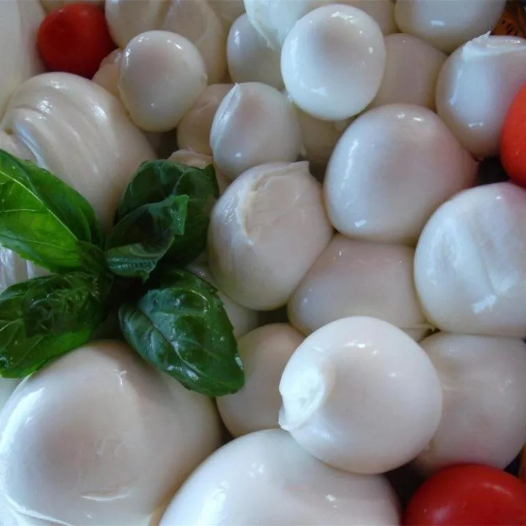 HOTEL HALF MOON RESTAURANT