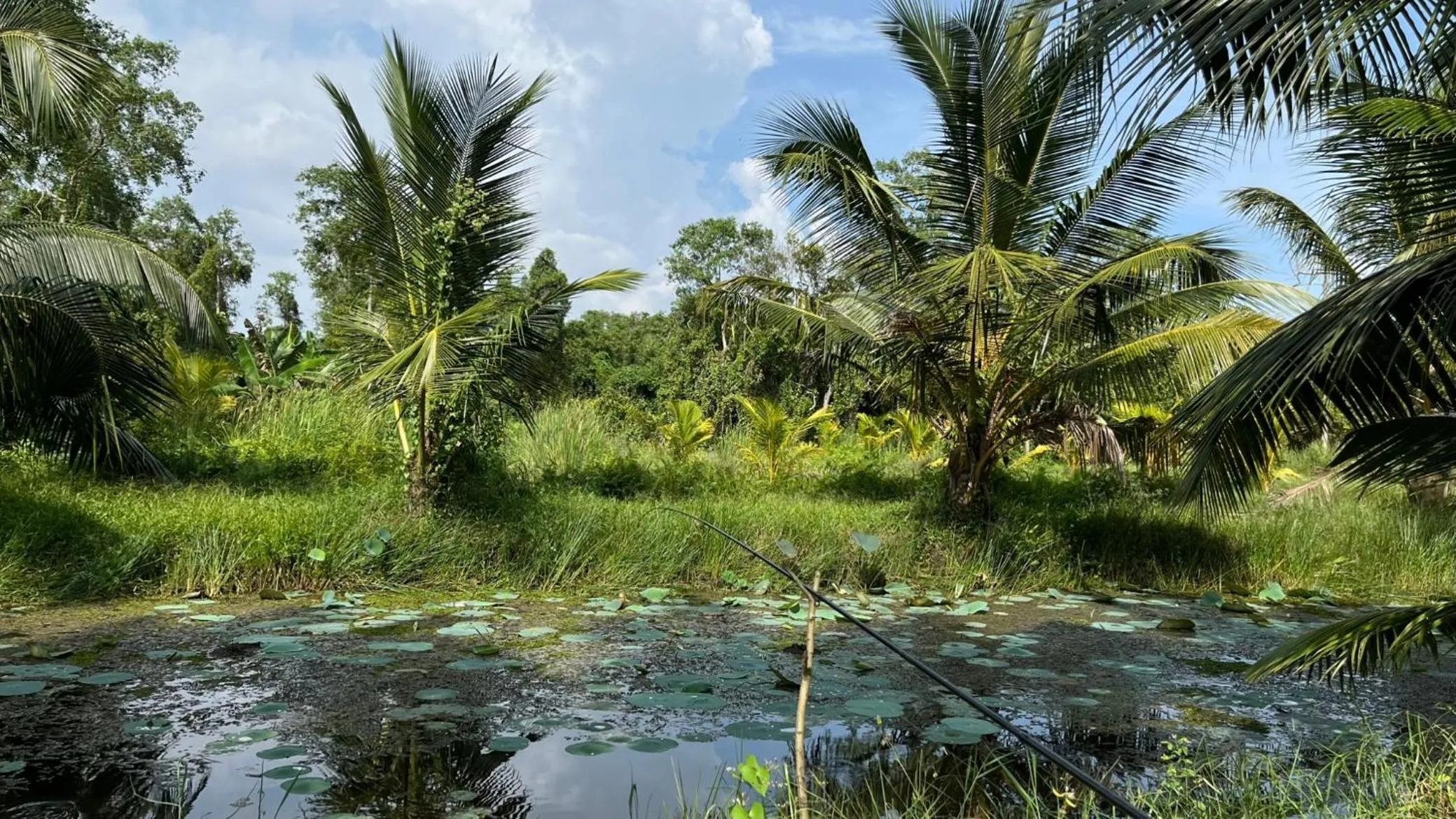 Natural landscape in Shades Hotel & Villa