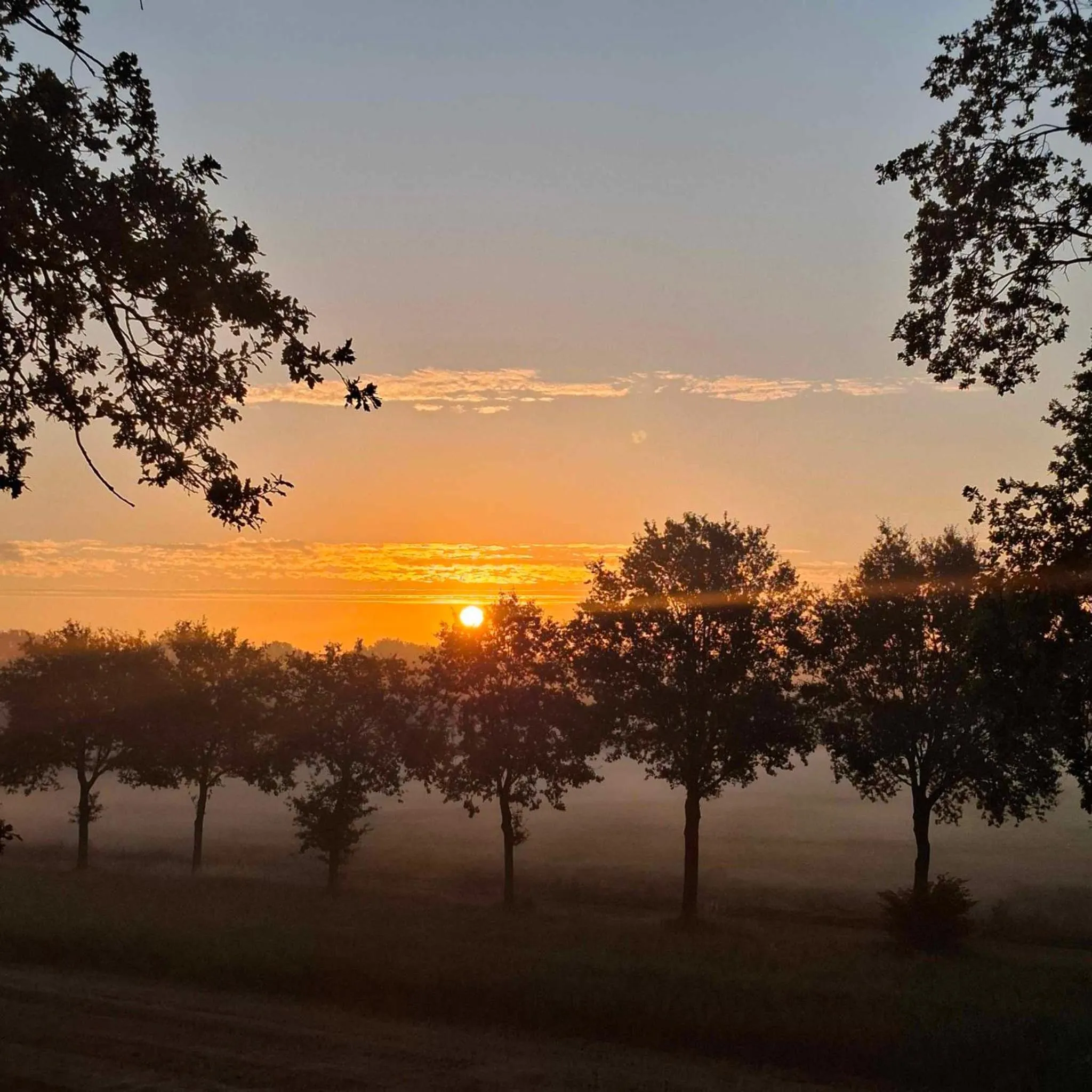 View (from property/room) in Boutique Hotel het Witte Veen