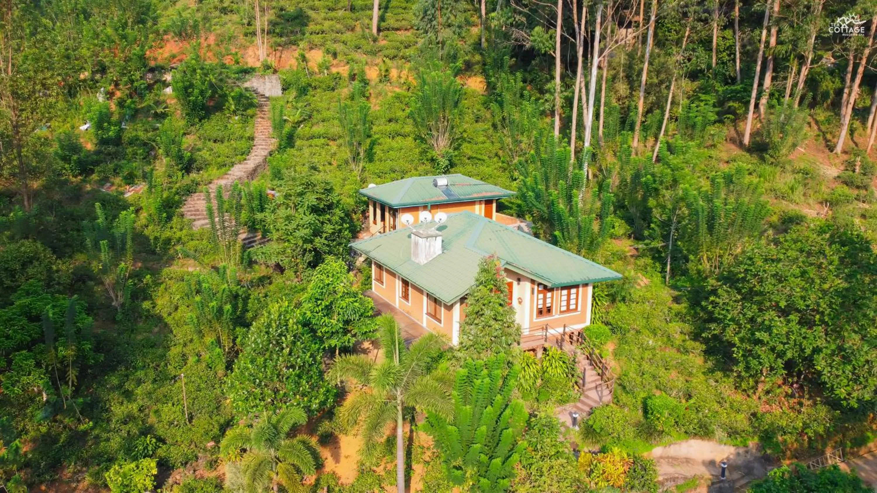 Property building in Tea Cottage Resort & Spa