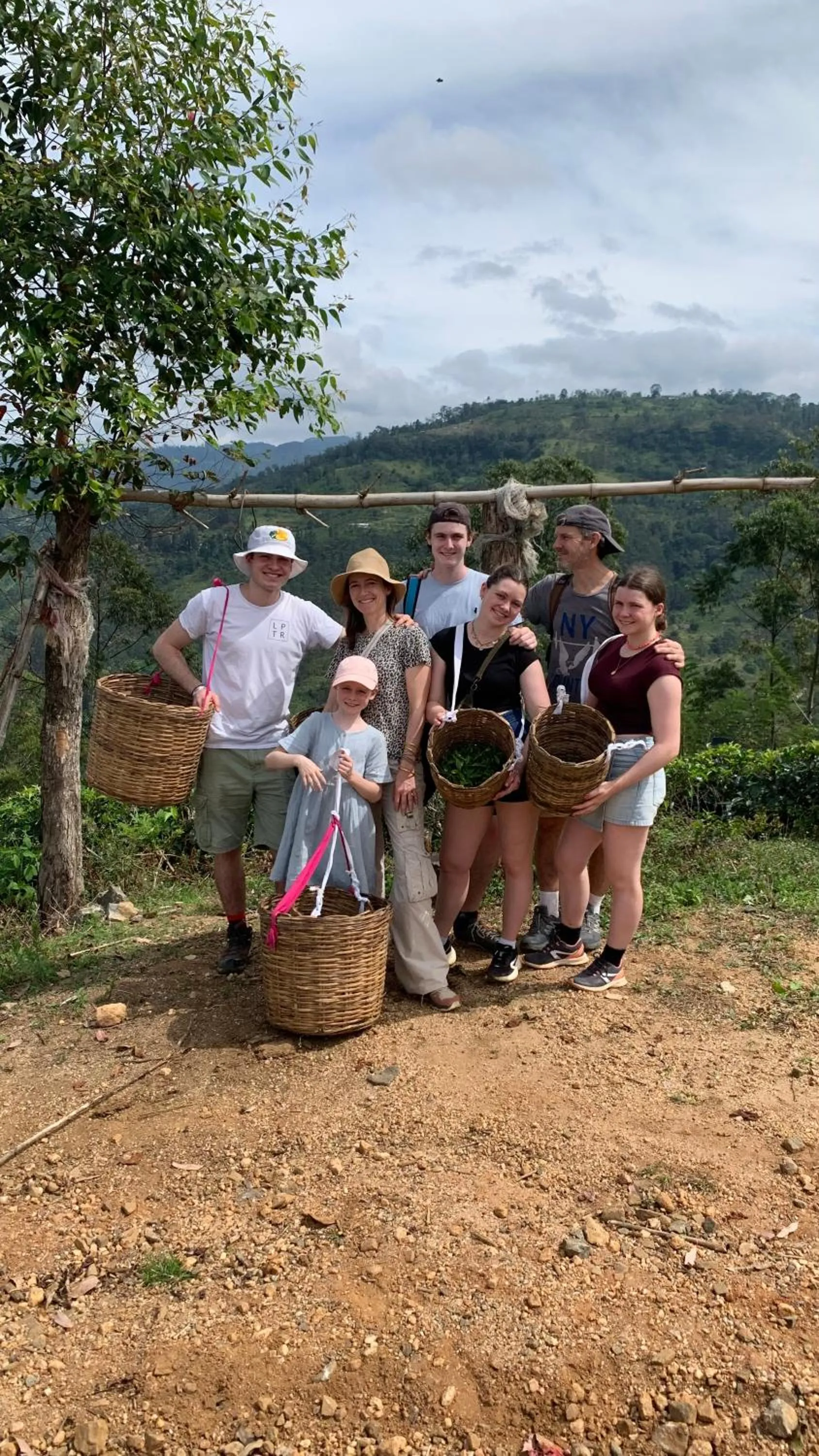 Natural landscape in Tea Cottage Resort & Spa