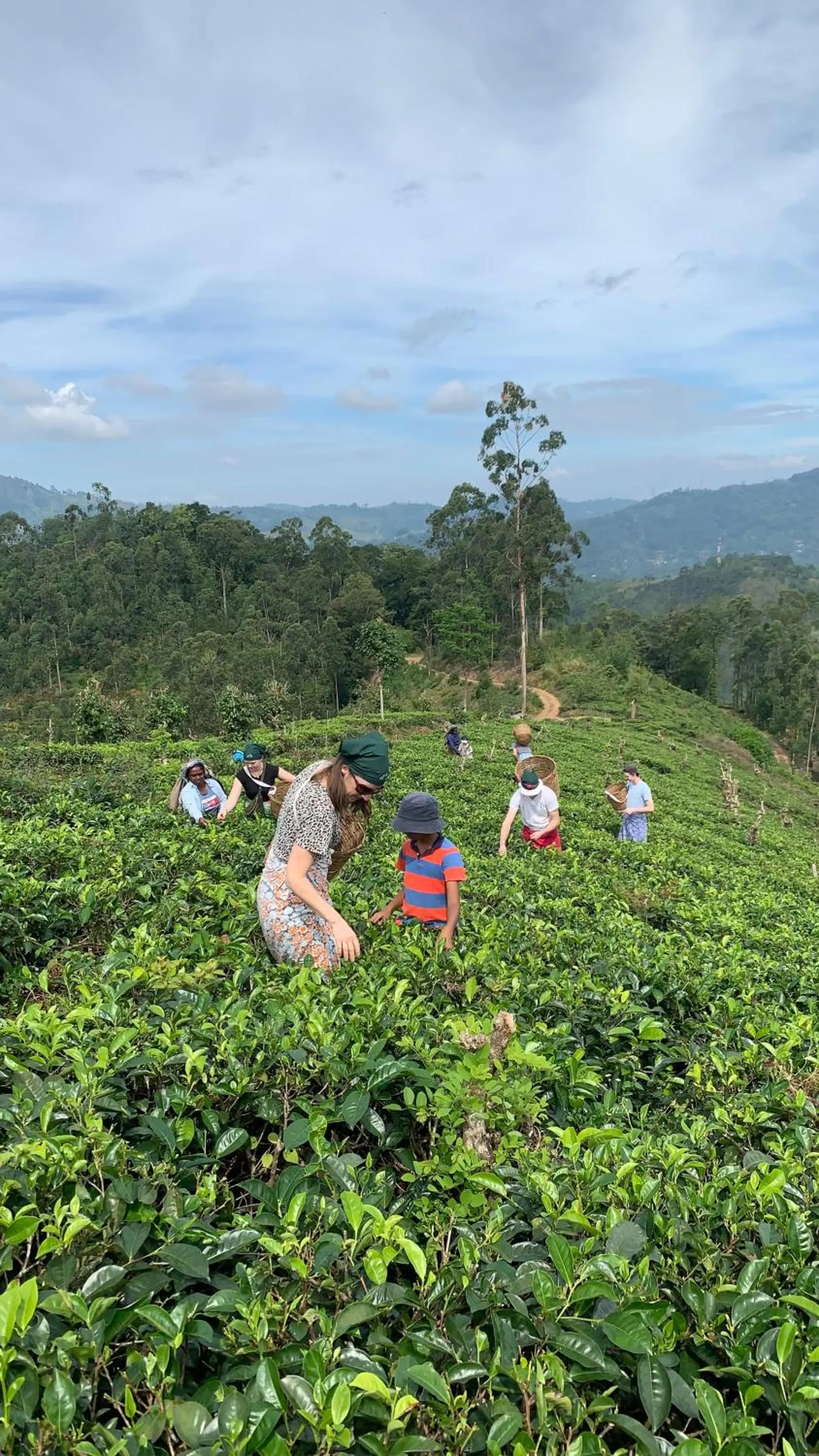 People in Tea Cottage Resort & Spa