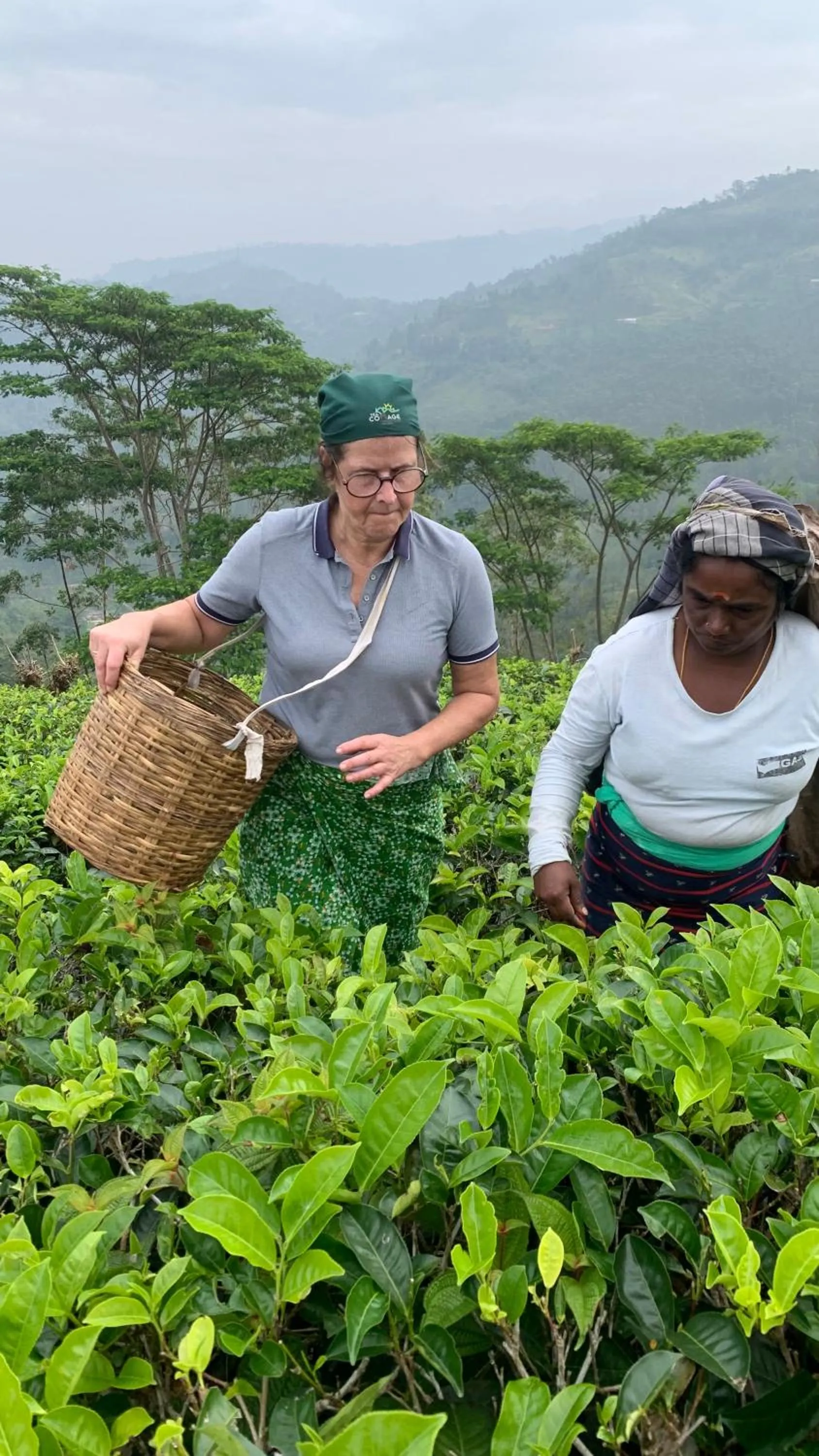 Natural landscape in Tea Cottage Resort & Spa