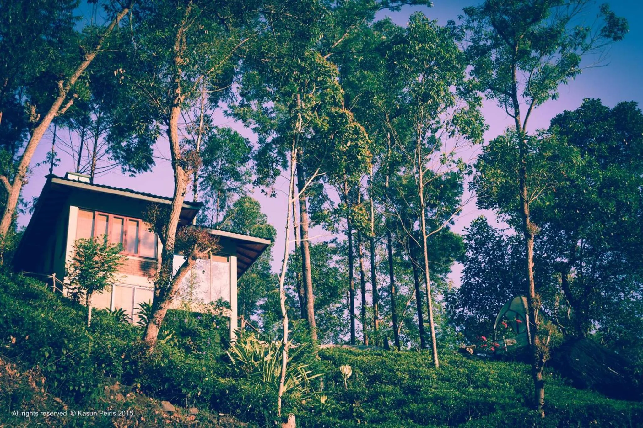 View (from property/room) in Tea Cottage Resort & Spa