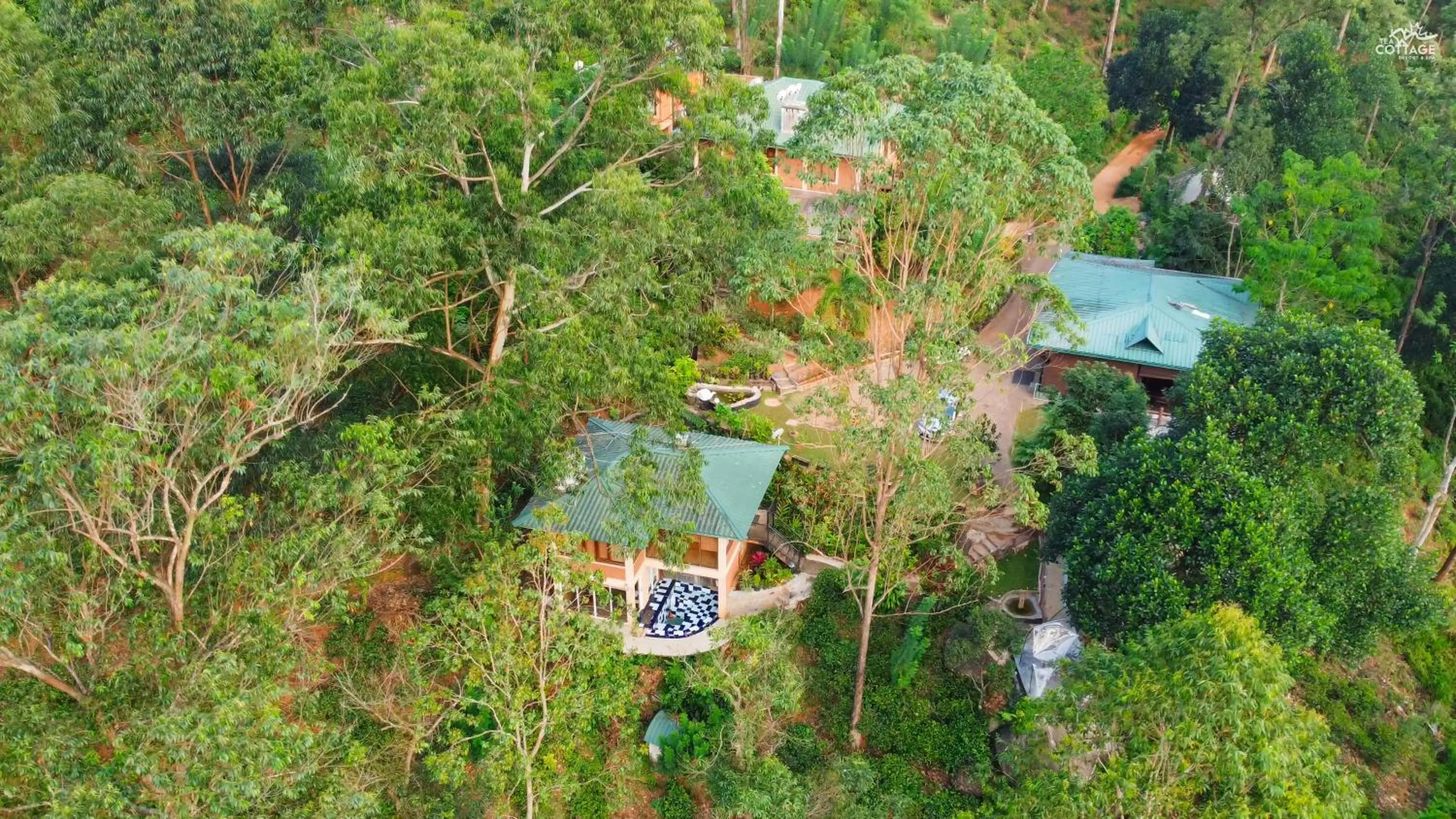 Property building in Tea Cottage Resort & Spa