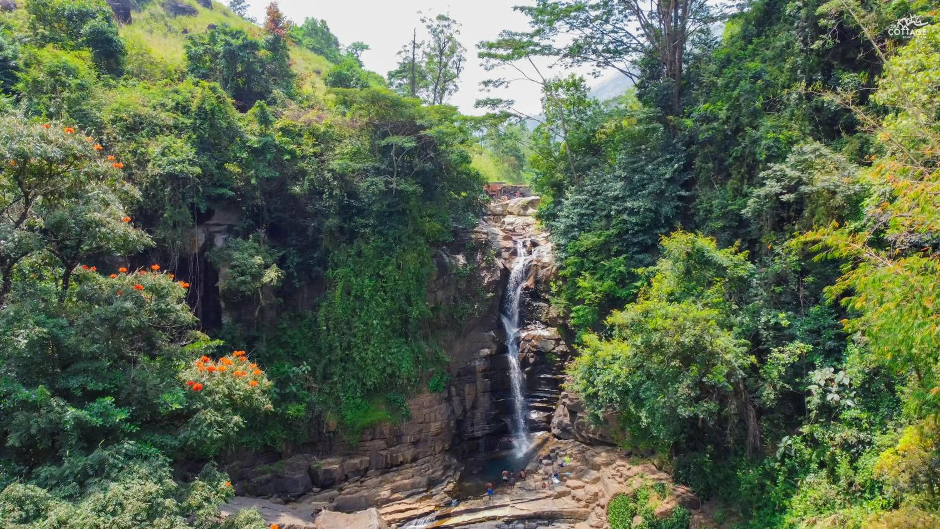 Nearby landmark in Tea Cottage Resort & Spa