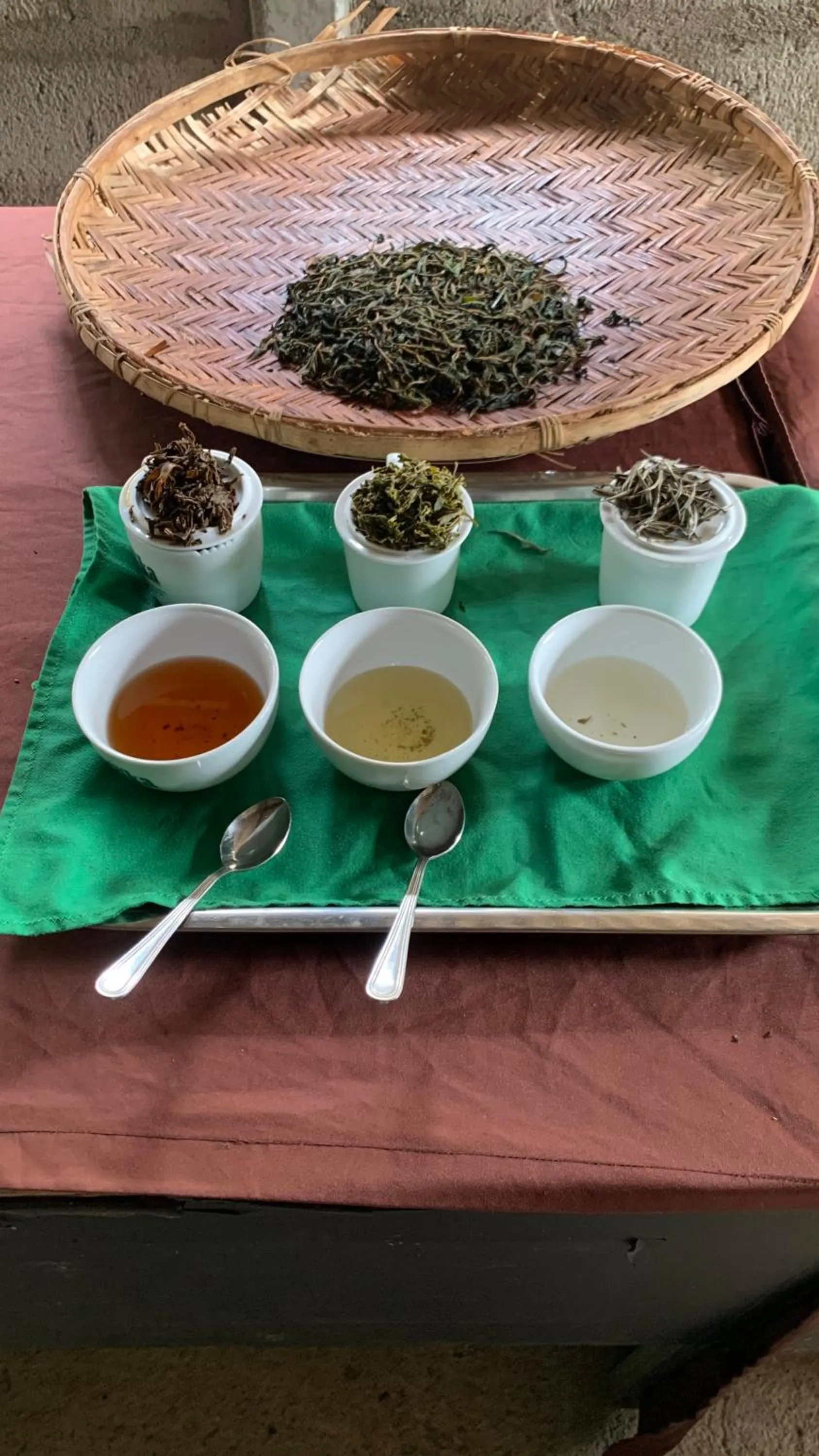 Activities in Tea Cottage Resort & Spa