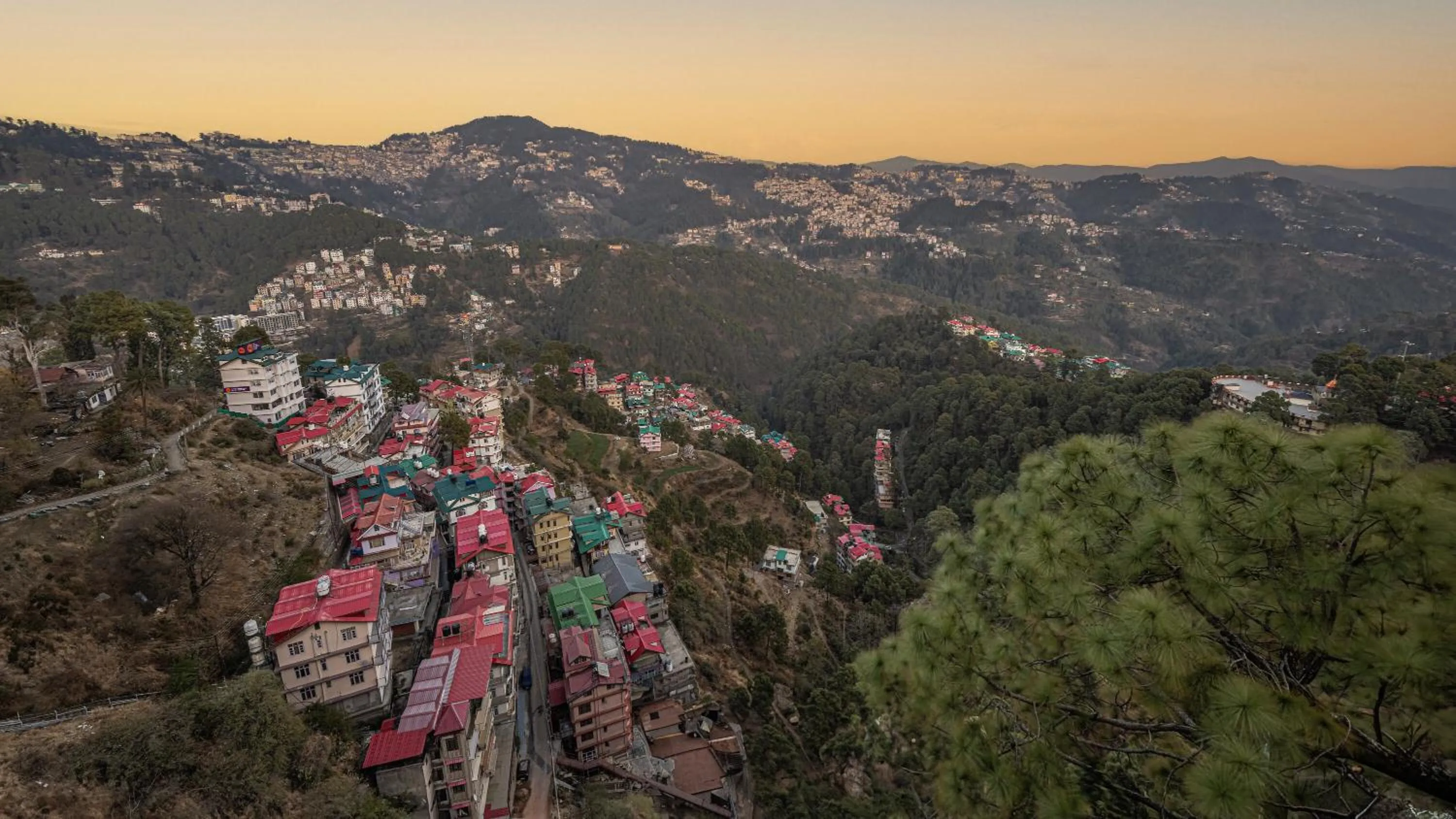 Natural landscape in Echor Shimla Hotel - The Zion