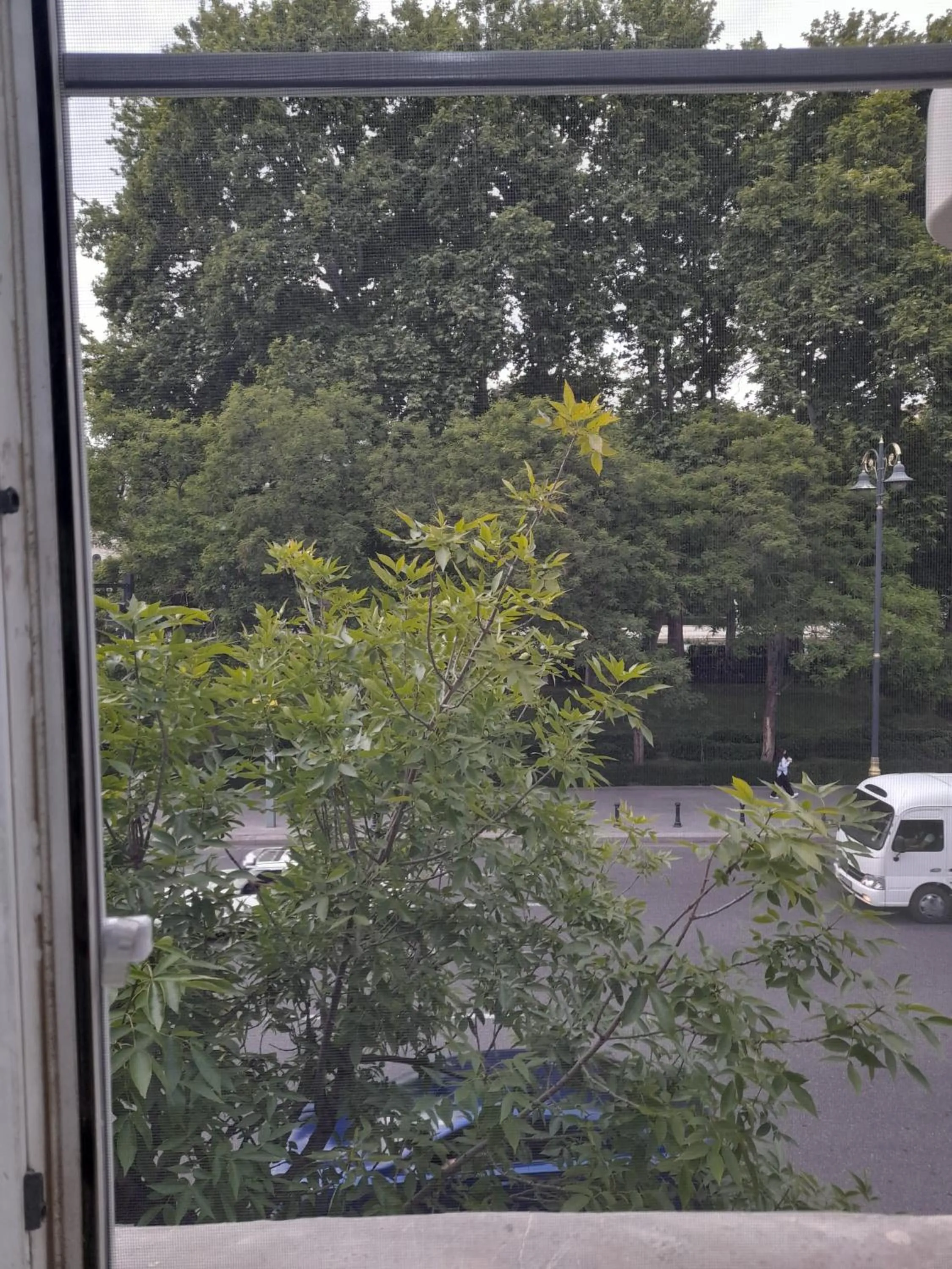 Garden view in White City Hostel