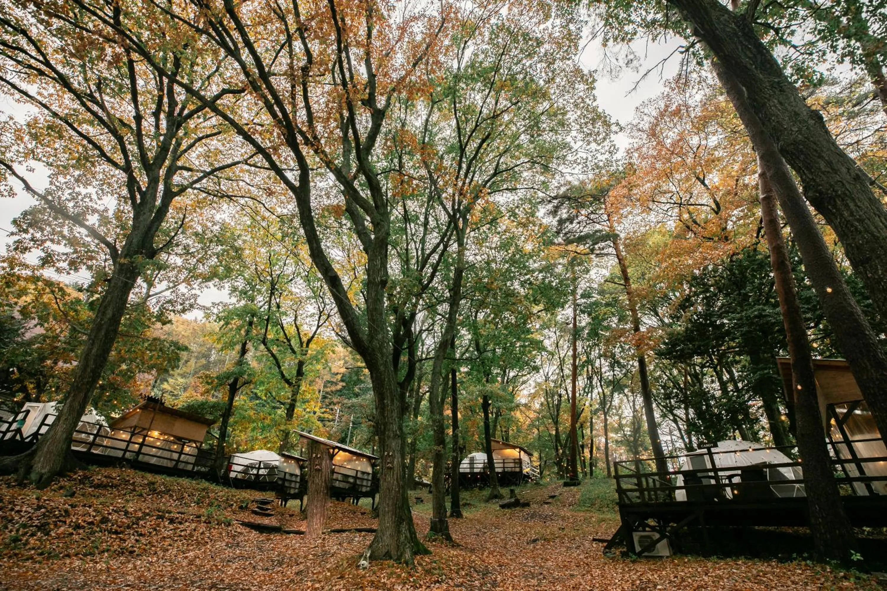 Property building in Nagano GLAMPINGBASE enCamp
