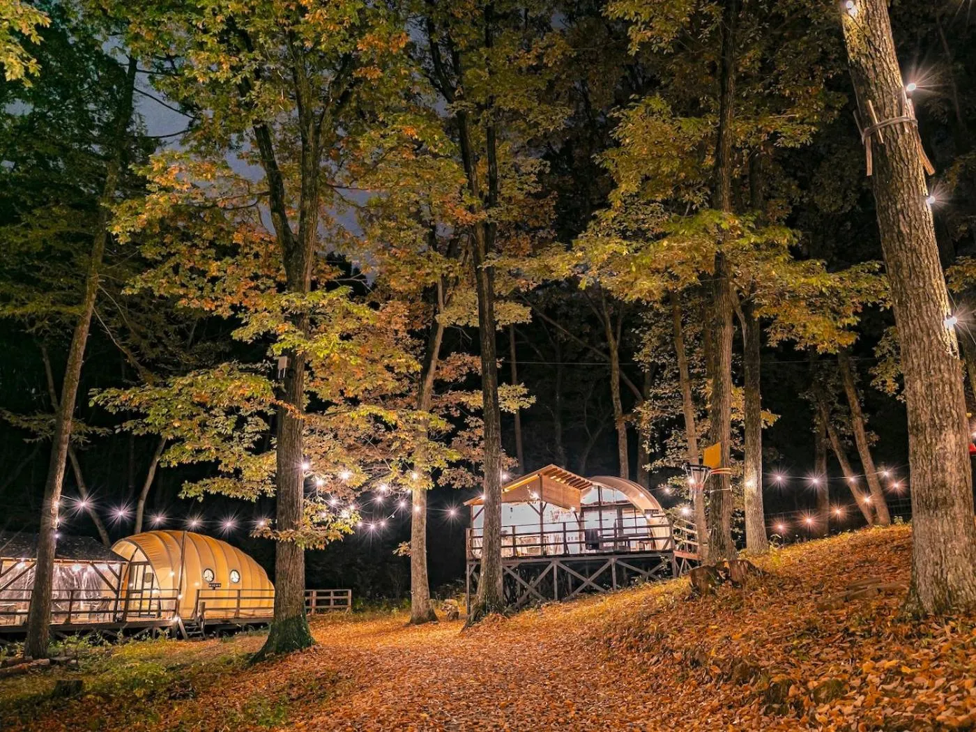 Night in Nagano GLAMPINGBASE enCamp