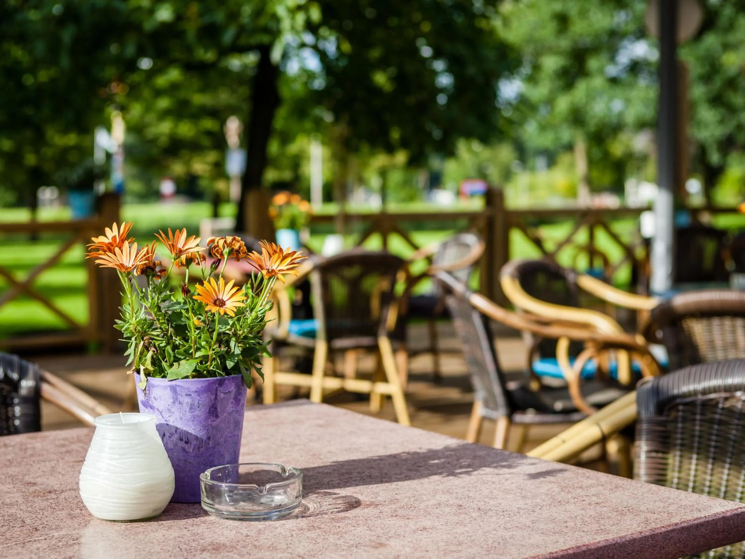 Garden in Hotel and Restaurant van Saaze