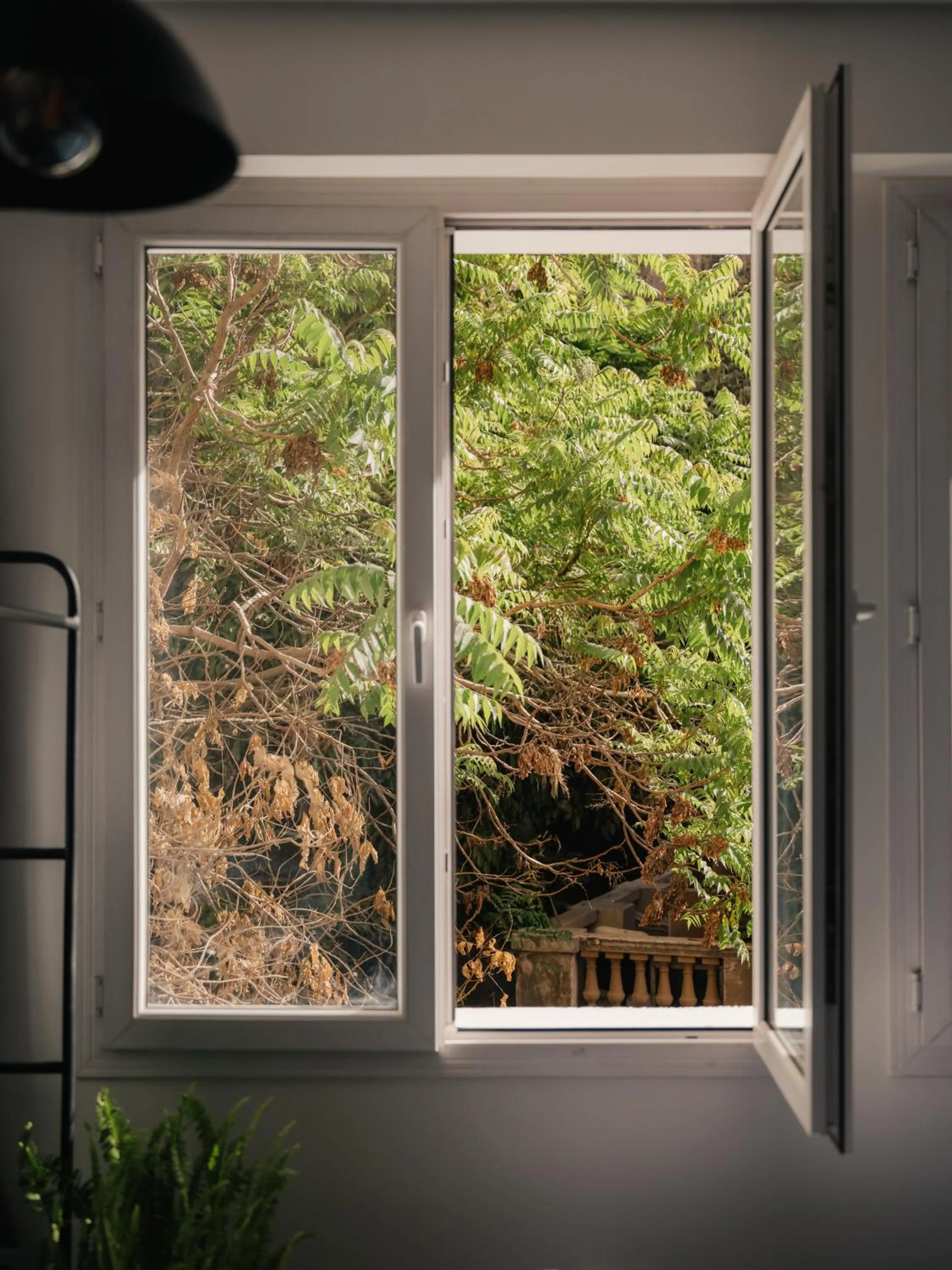 Brassbell l DT l Hannaux l Tahrir sq