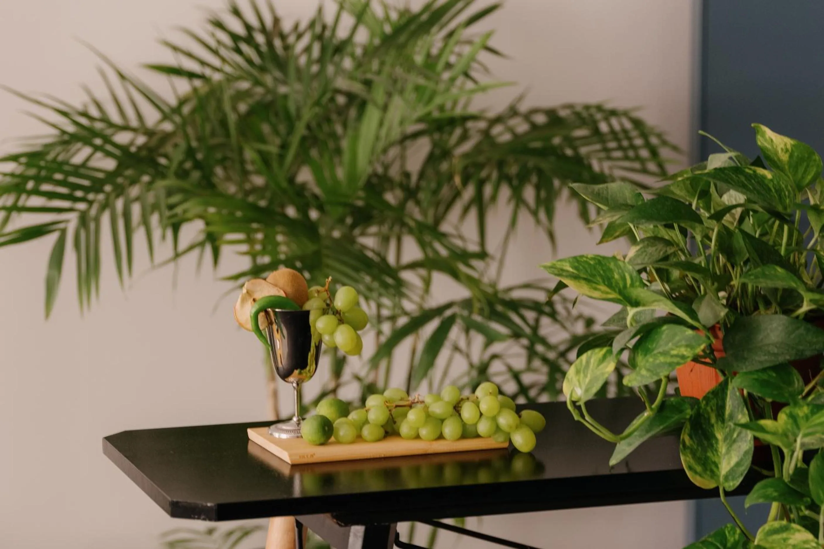 Brassbell l DT l Hannaux l Tahrir sq