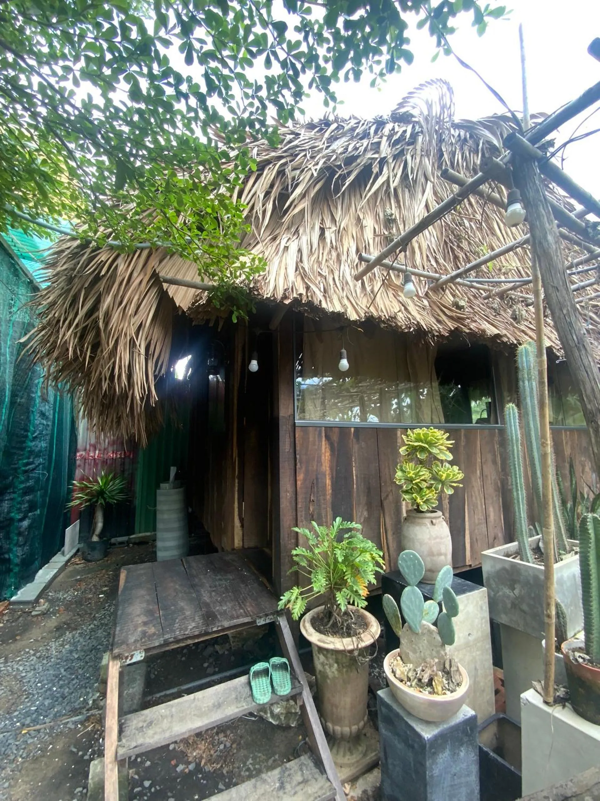 Restaurant/places to eat in Cactos Chill & Homestay