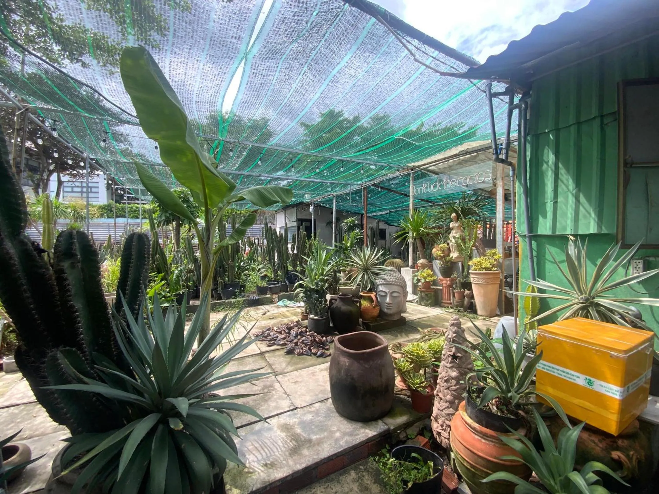 Garden in Cactos Chill & Homestay