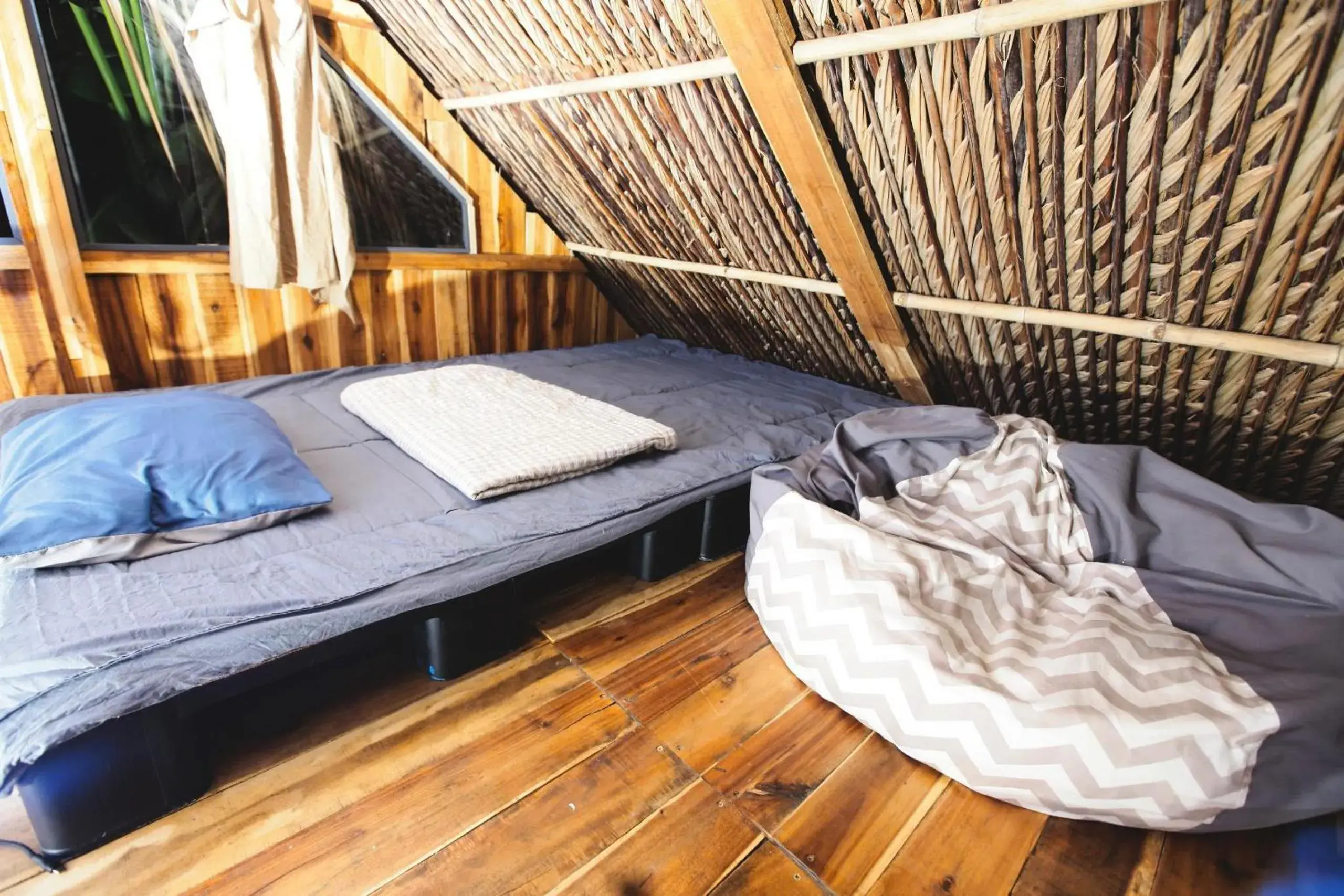 Apartment with Garden View in Cactos Chill & Homestay Apartment with Garden View in Cactos Chill & Homestay