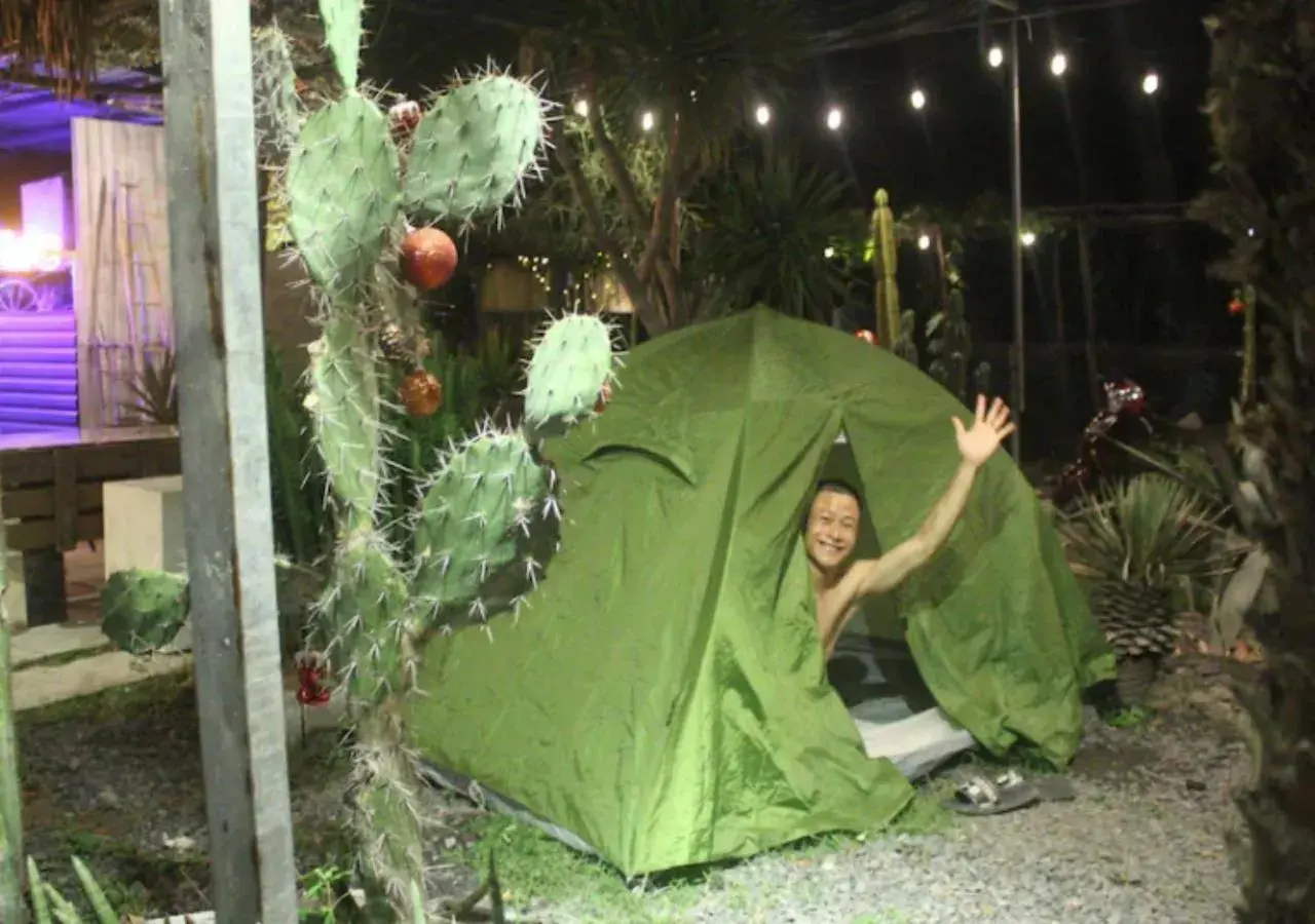 Tent in Cactos Chill & Homestay Tent in Cactos Chill & Homestay
