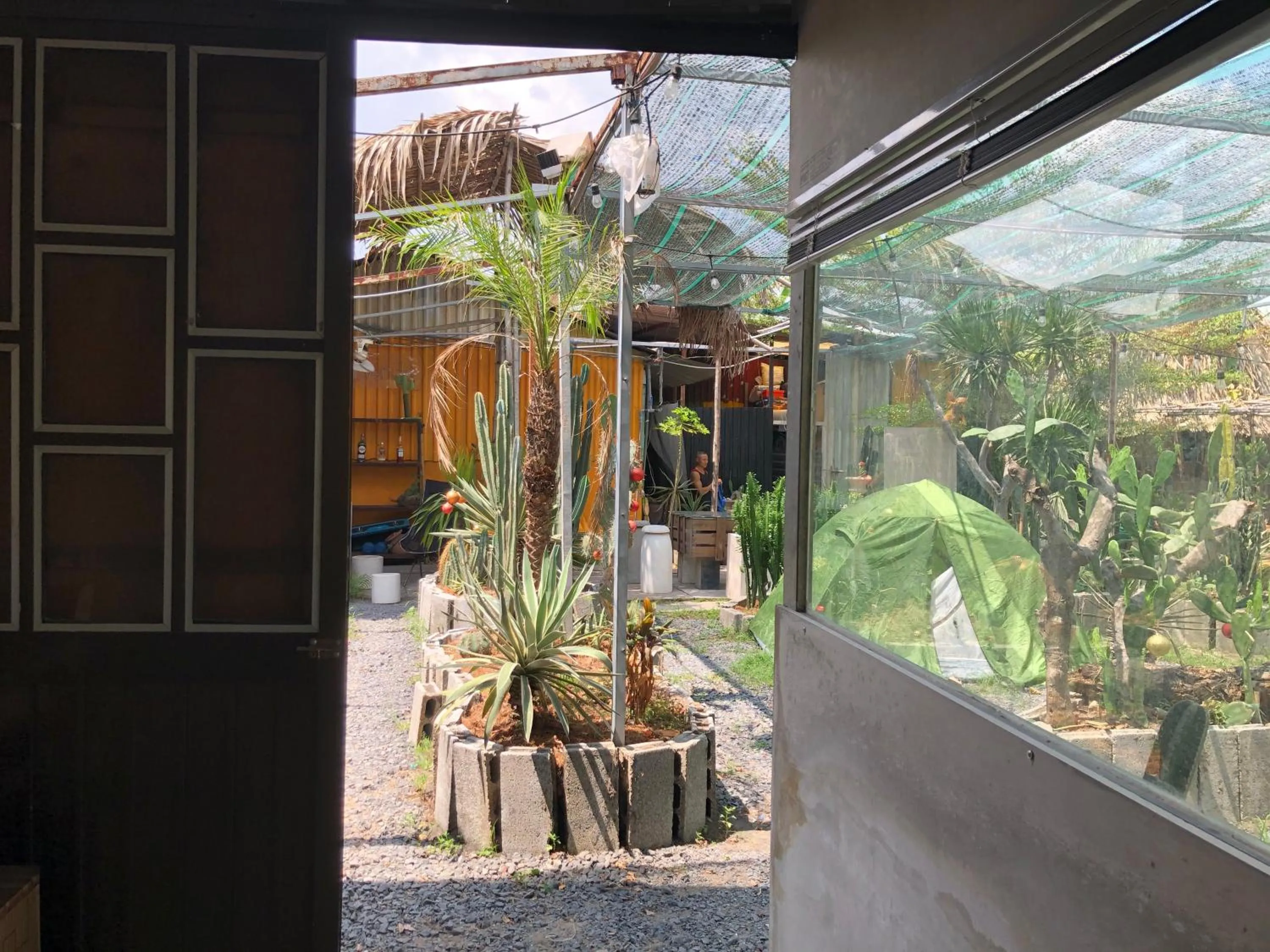 Garden in Cactos Chill & Homestay