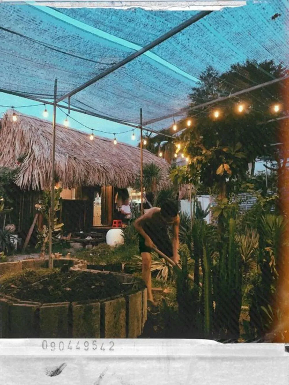 Garden in Cactos Chill & Homestay