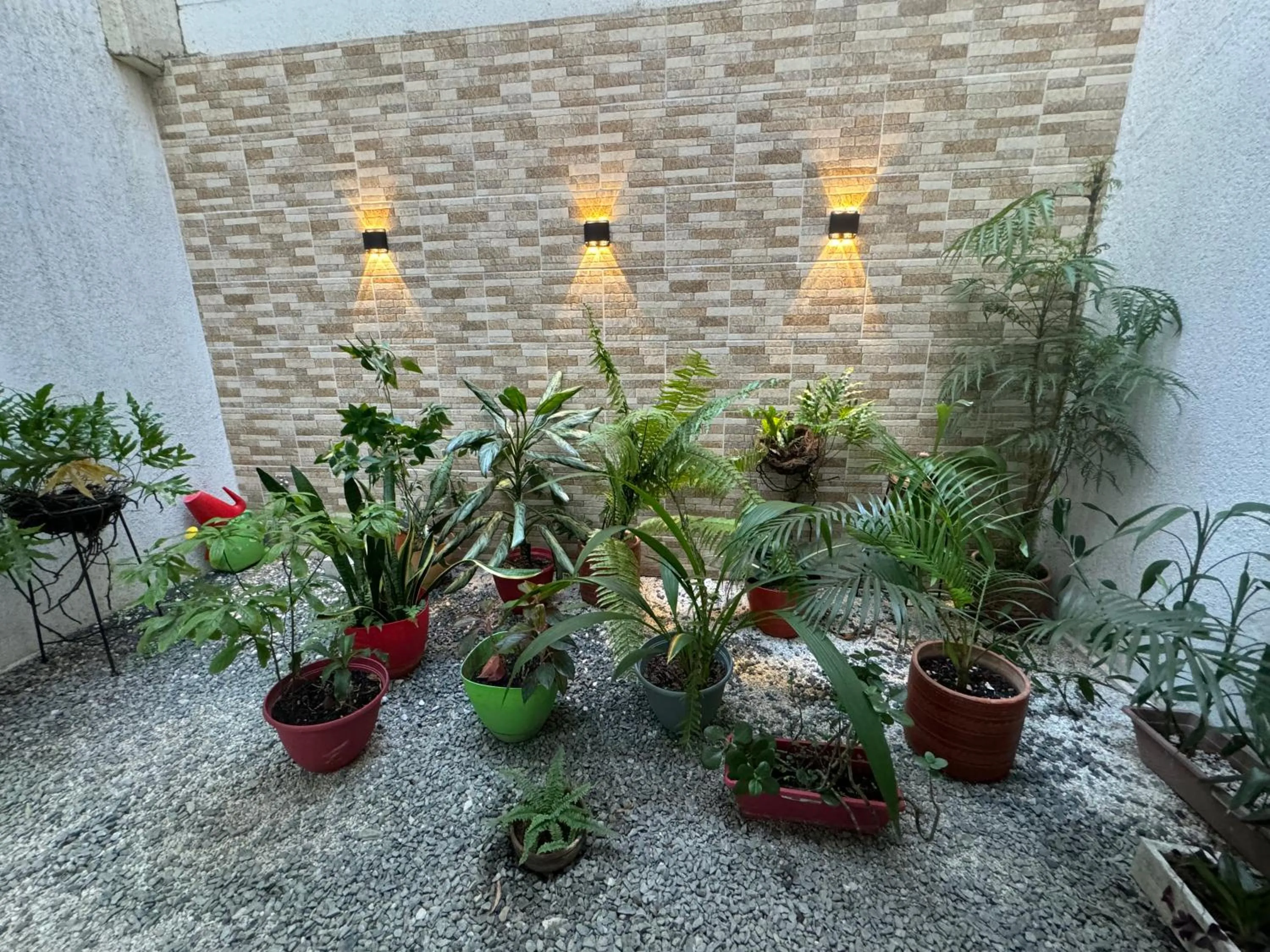 Day in Hotel Mar Inn Cali