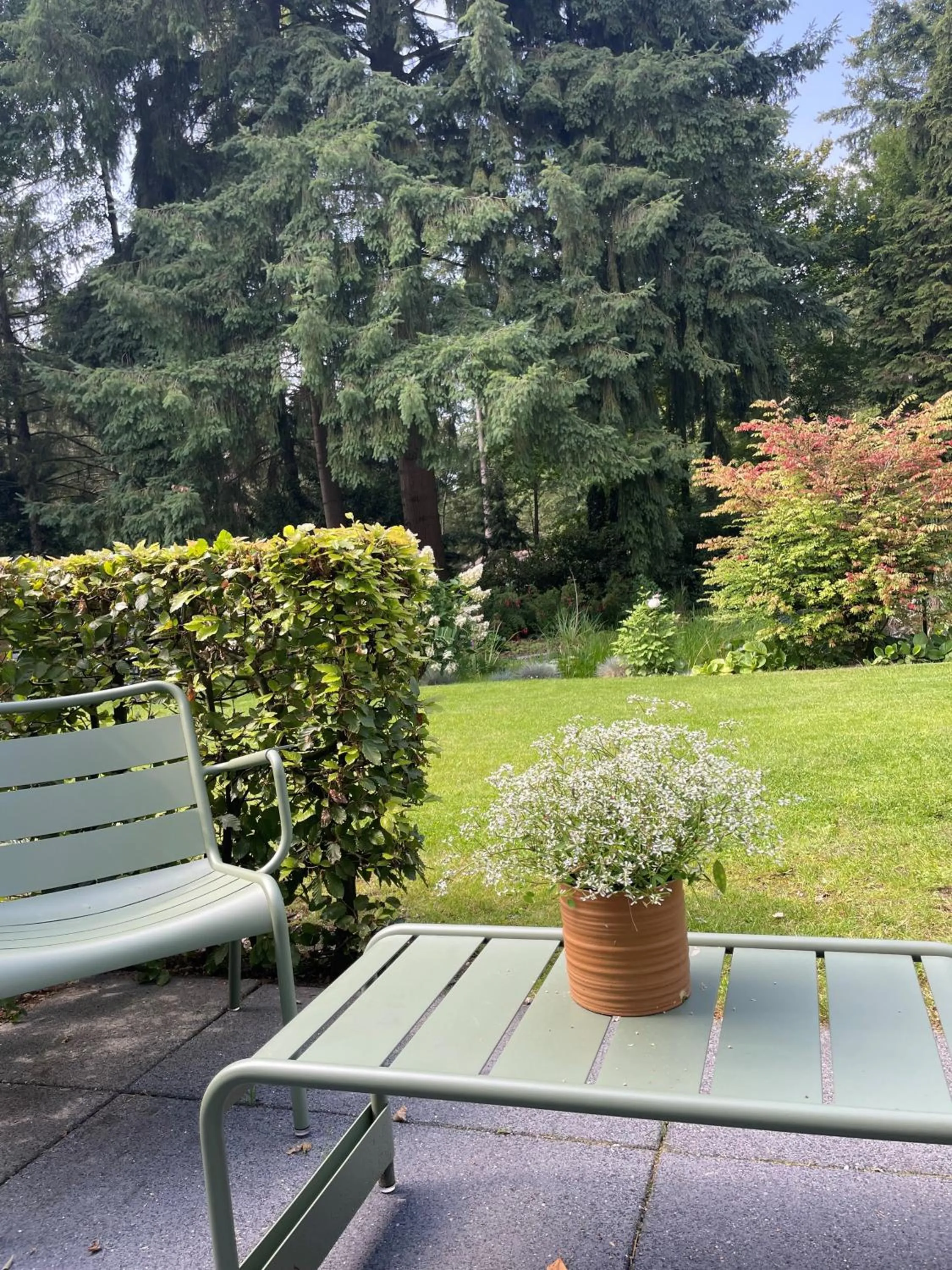 Natural landscape in Witte Berken Natuurhotel