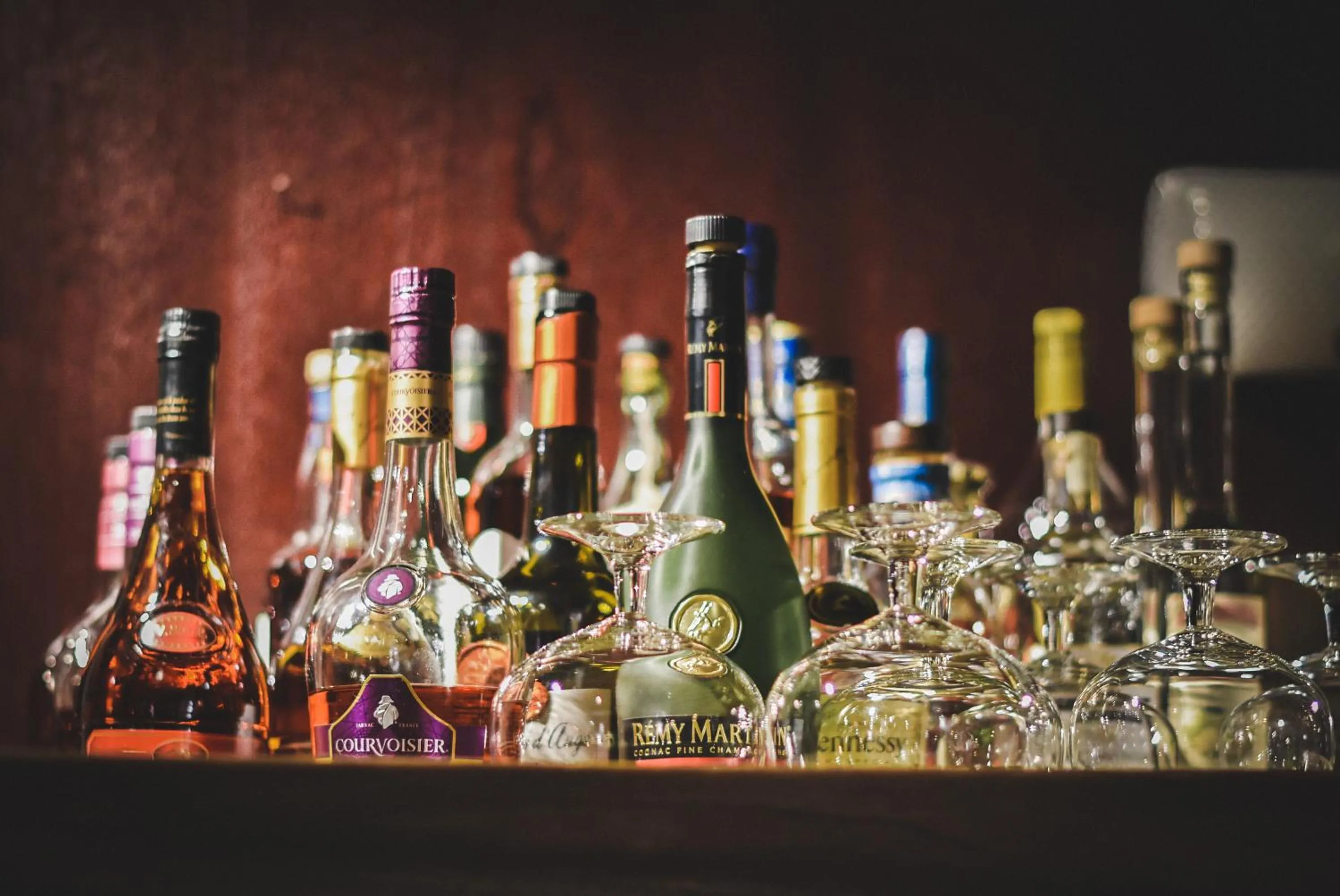 Lounge or bar in Witte Berken Natuurhotel