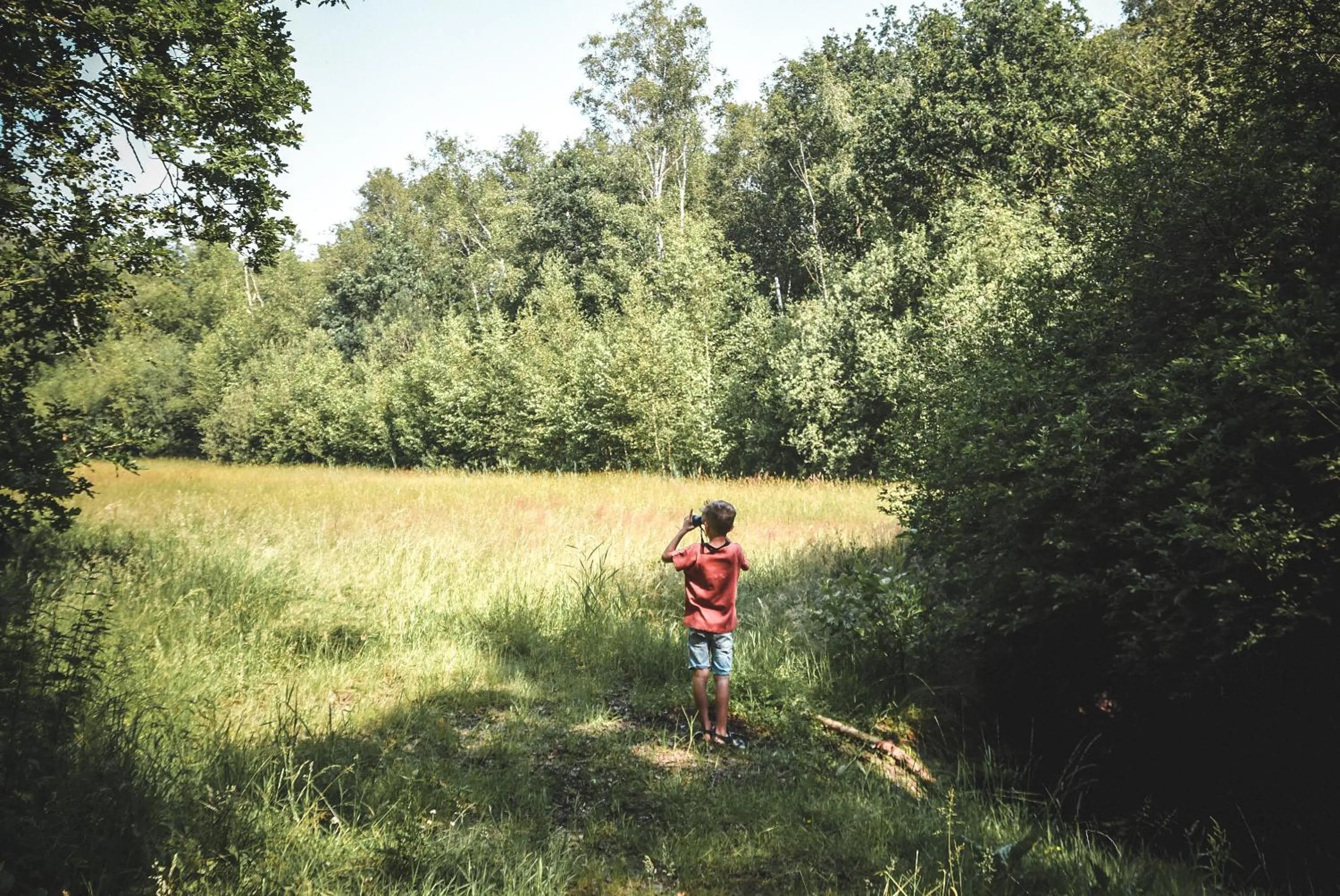 Natural landscape in Witte Berken Natuurhotel