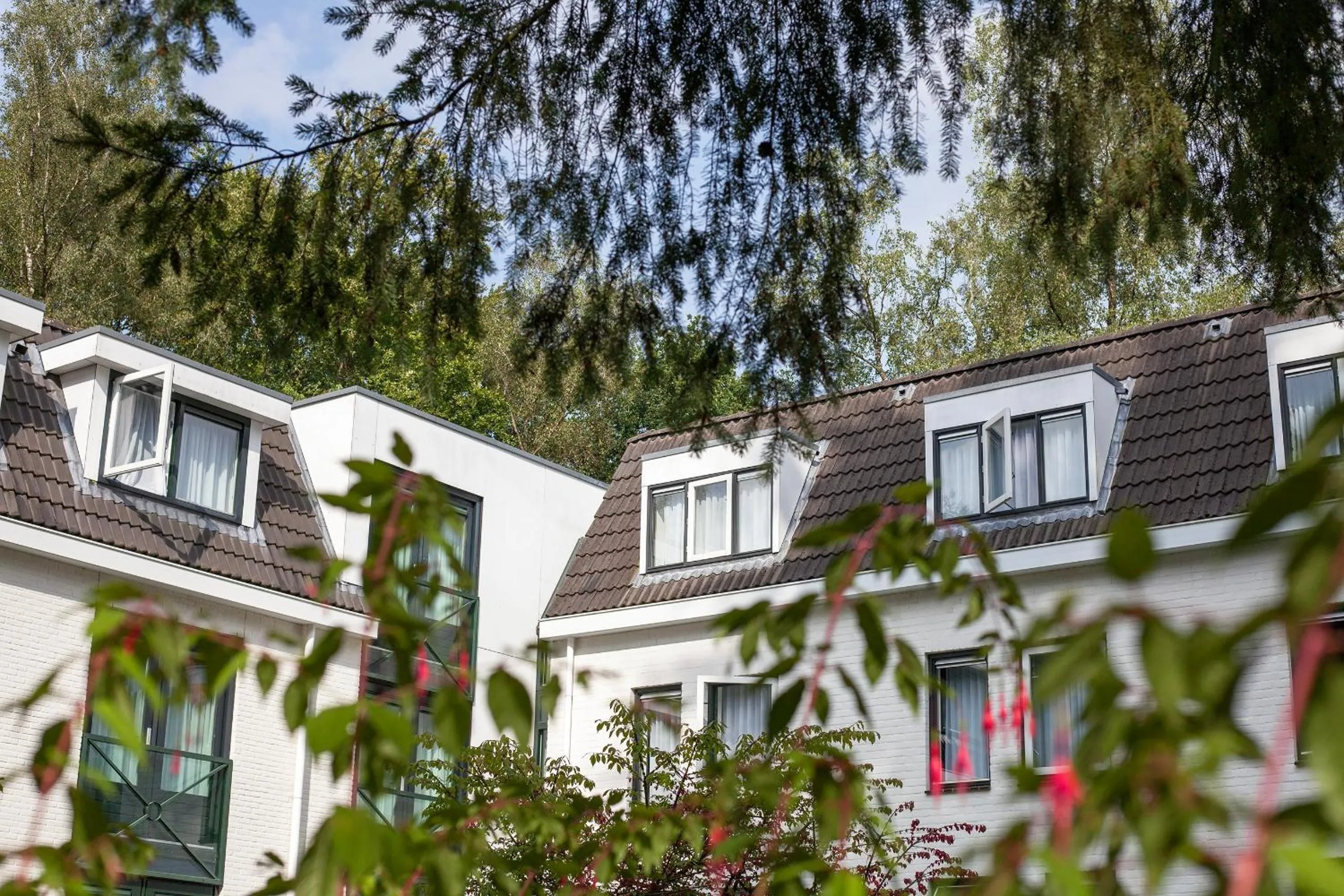Property building in Witte Berken Natuurhotel