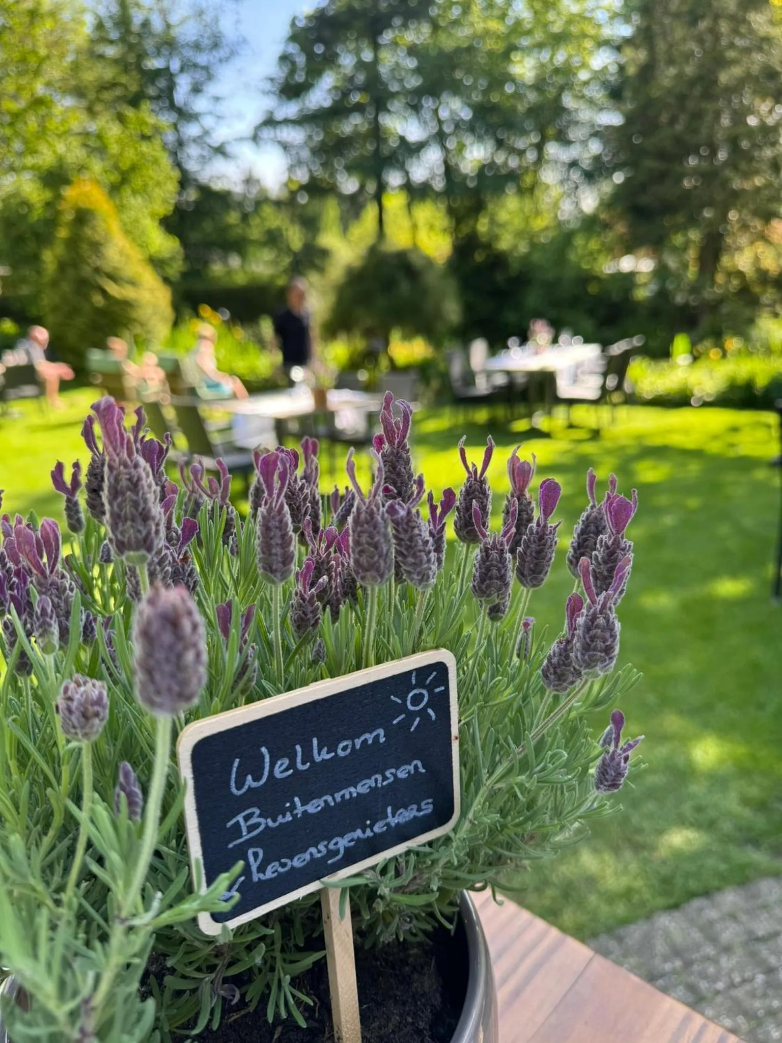 Garden in Witte Berken Natuurhotel