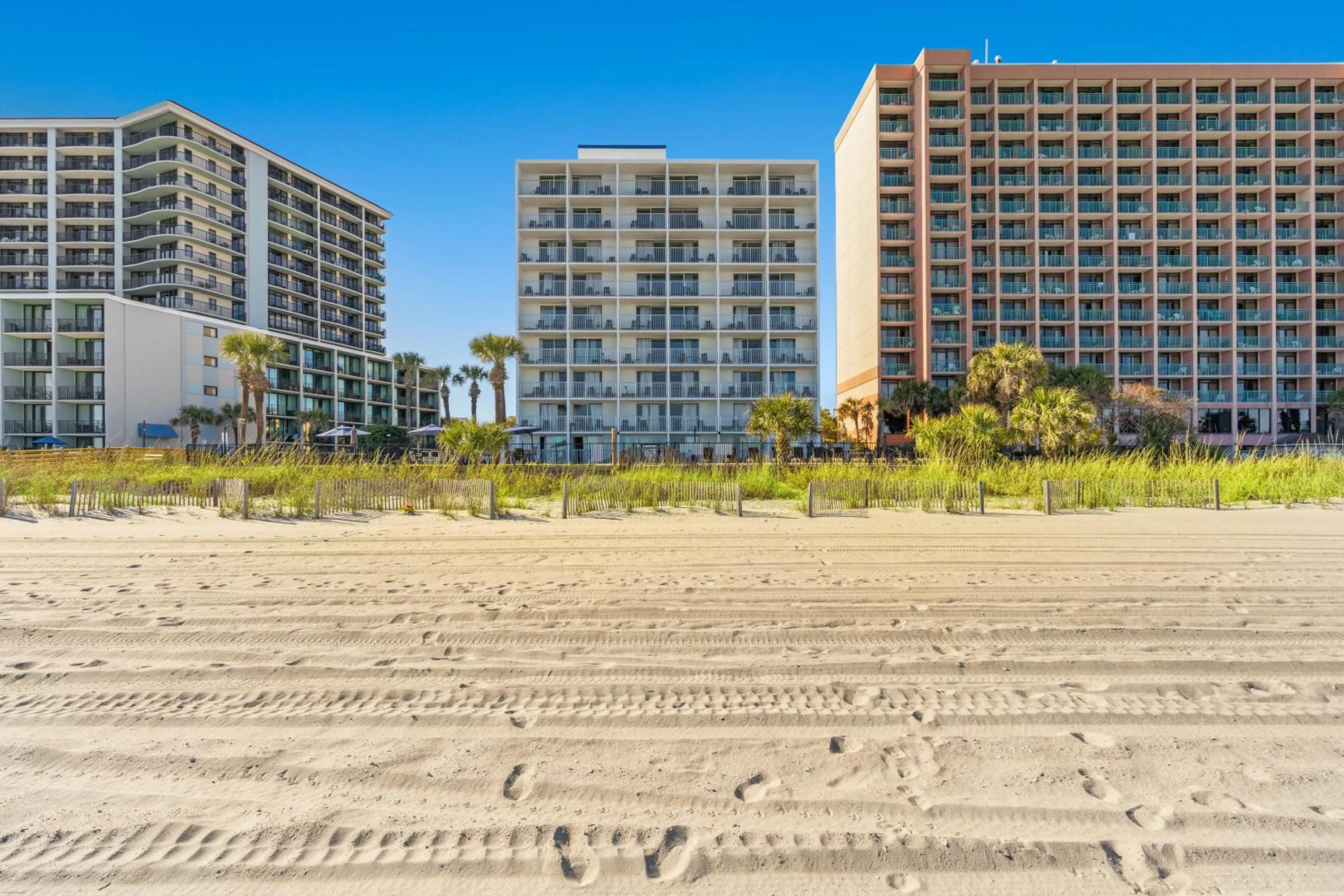 Natural landscape in Indigo