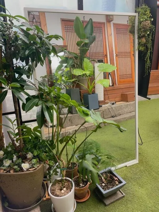 Garden view in Bibimbap Hanok Guesthouse Gyeongbokgung