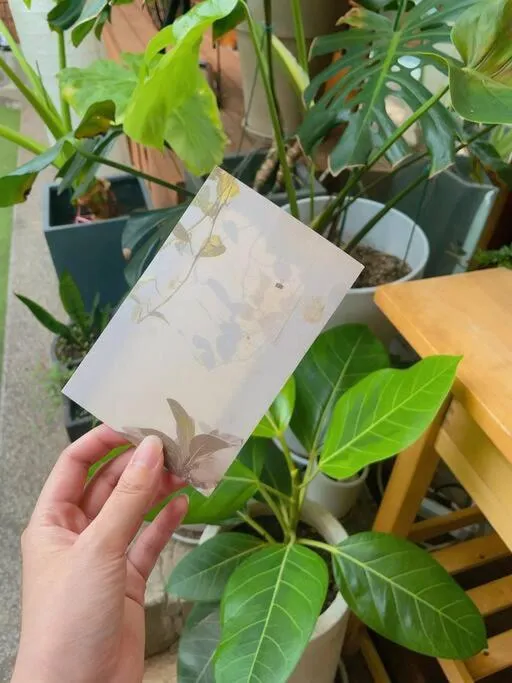 Garden in Bibimbap Hanok Guesthouse Gyeongbokgung