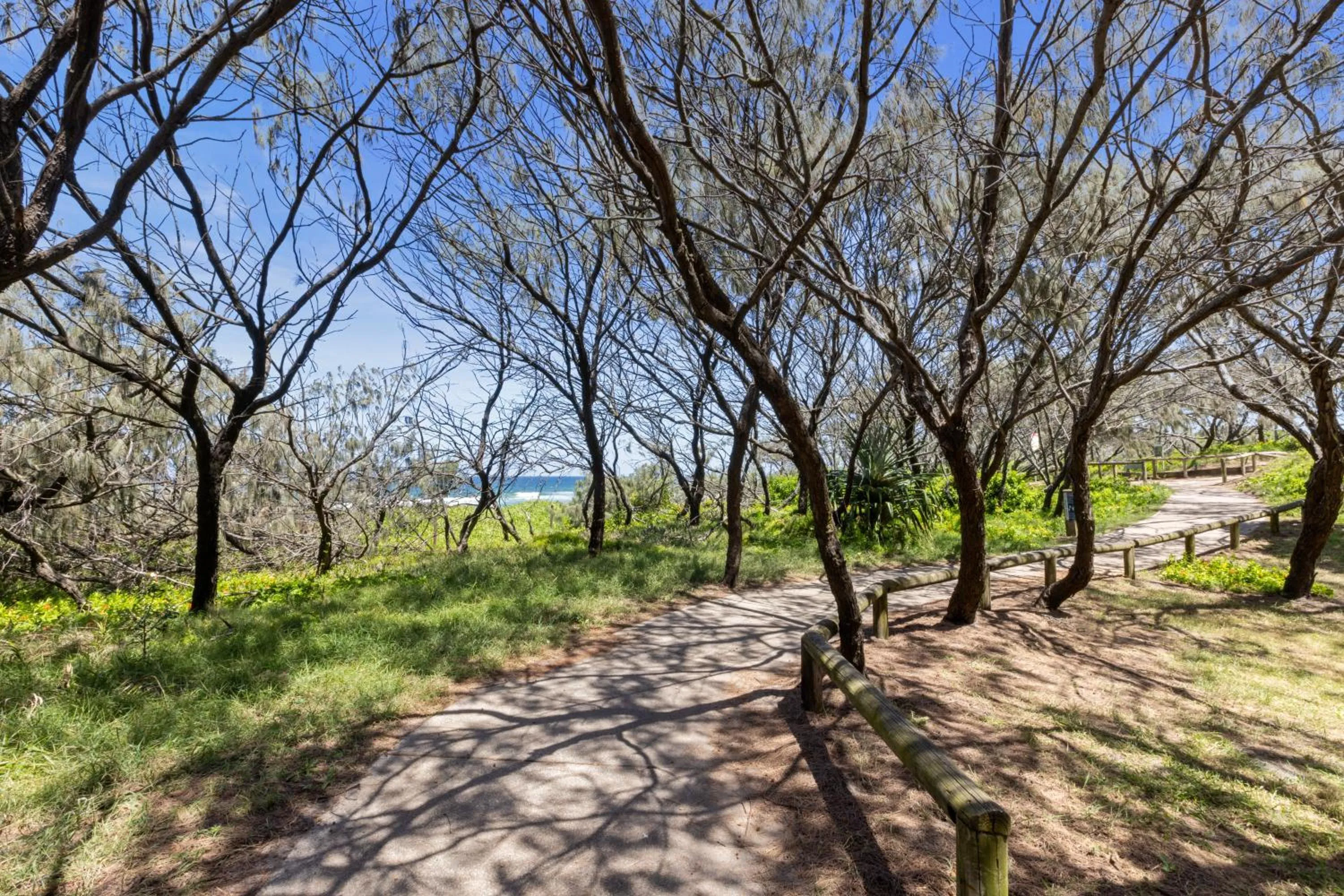 Garden view in Luxury on the Beach Surfside Resort -Sunshine Coast
