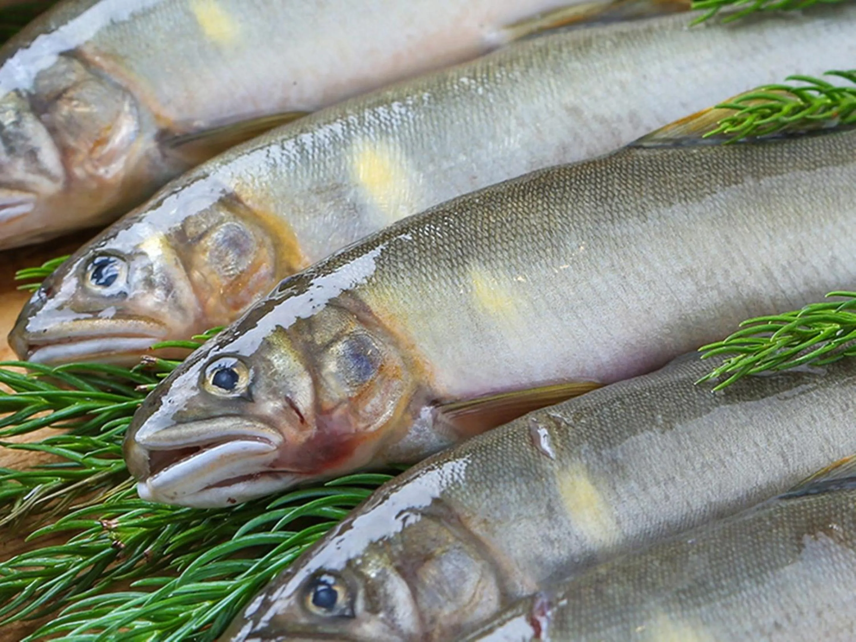 Food and drinks in Nagomiya Hirugano