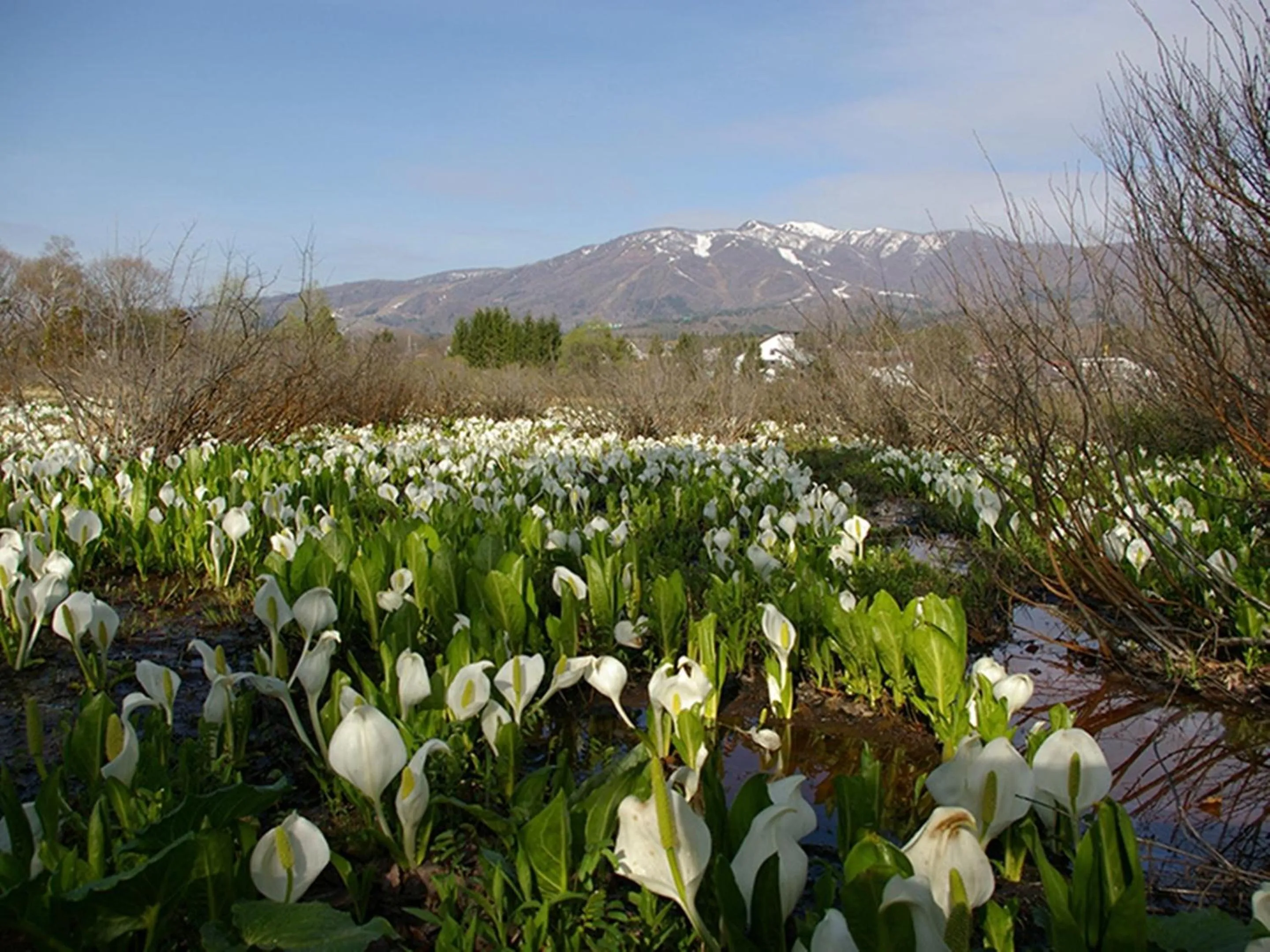 Nearby landmark in Nagomiya Hirugano