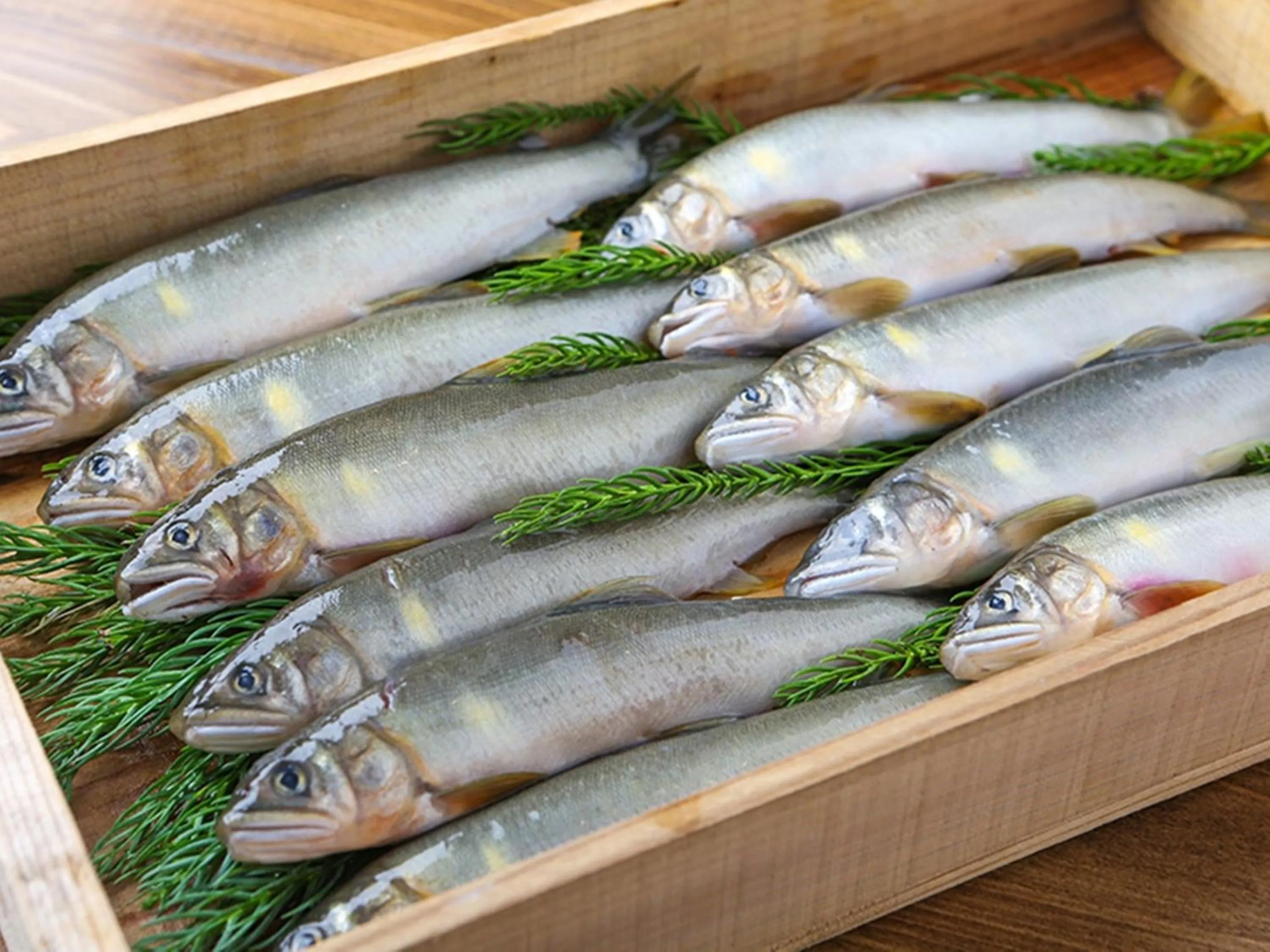 Food and drinks in Nagomiya Hirugano