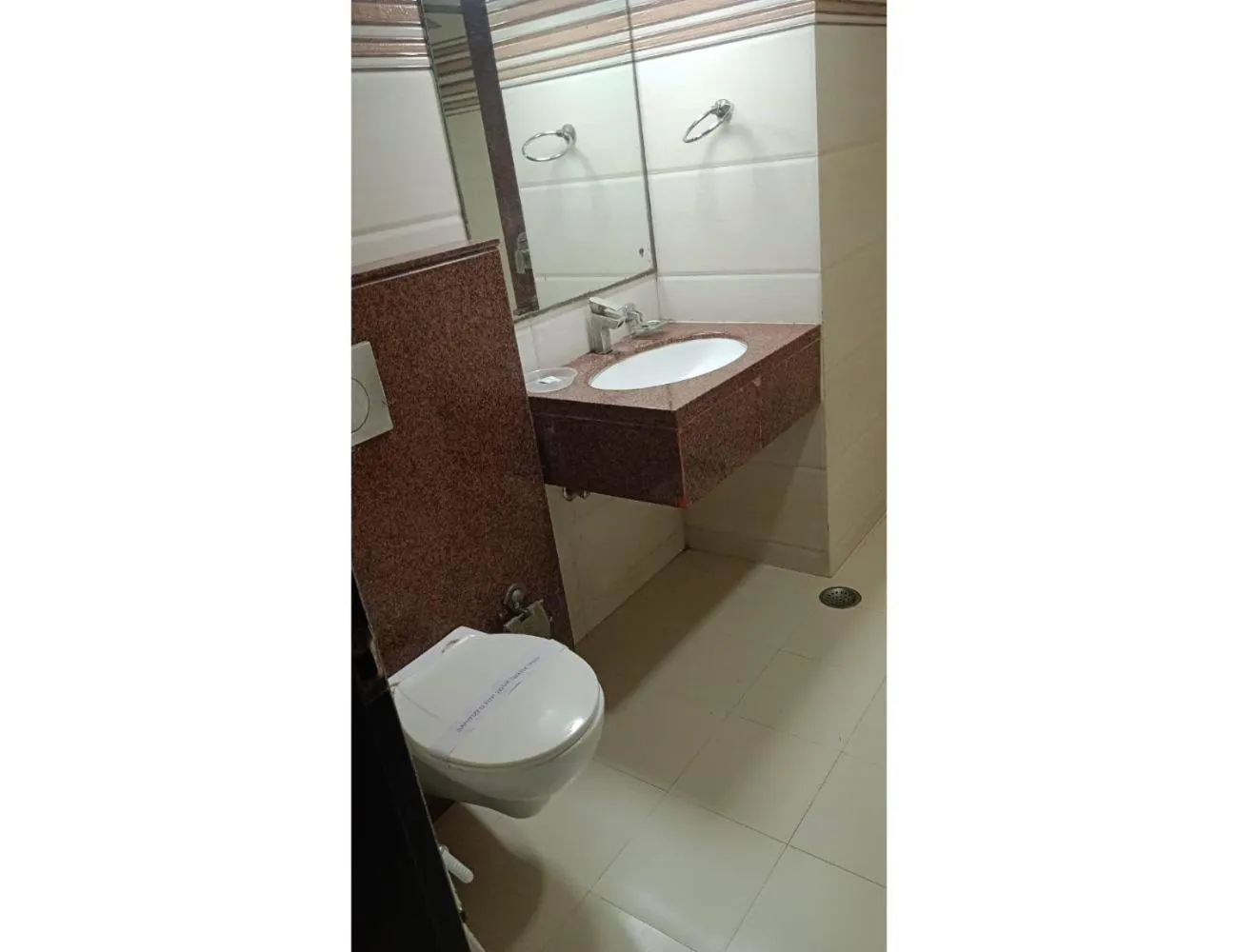 Shower in Hotel Blue Sapphire, Agra