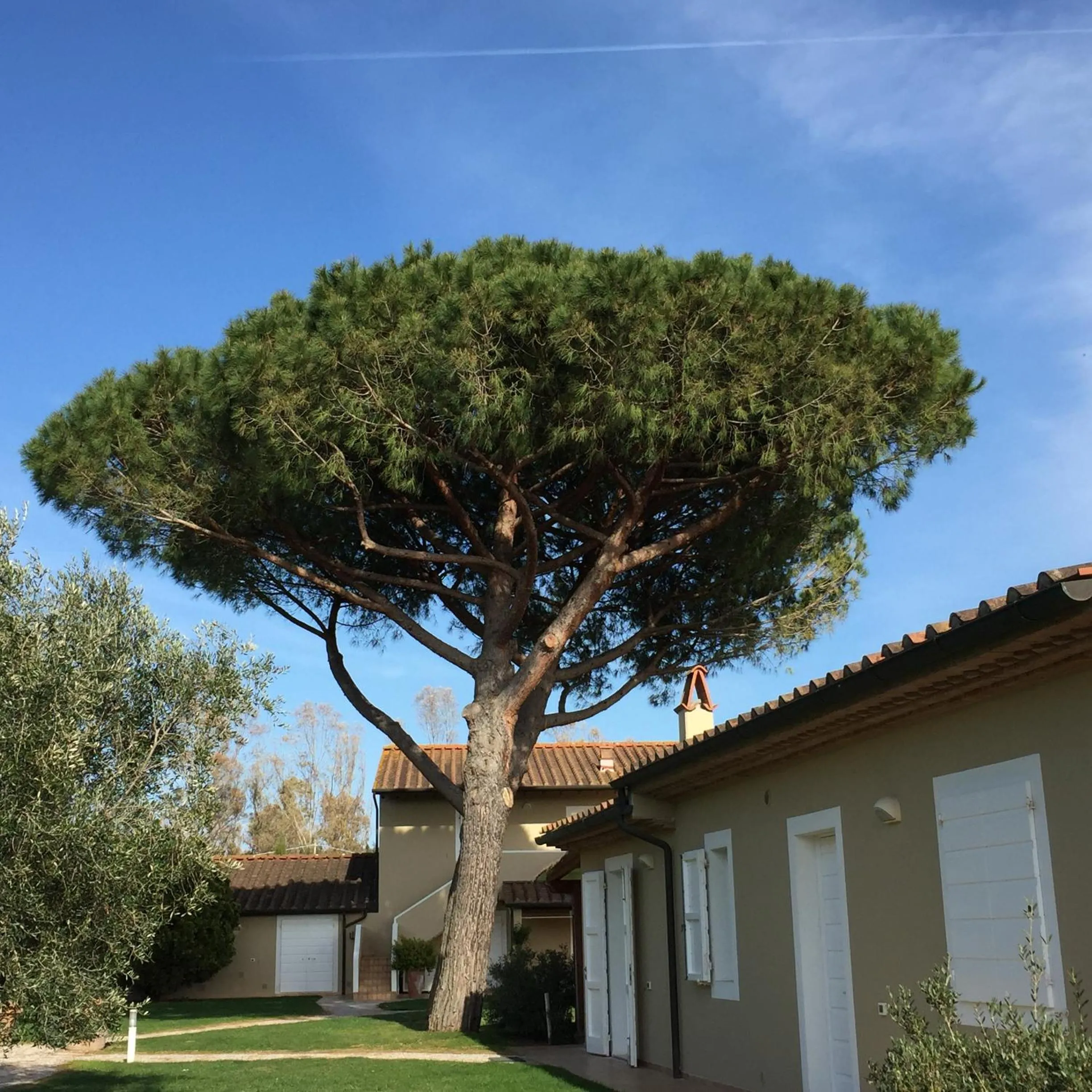 Facade/entrance in Relais Le Fornacelle