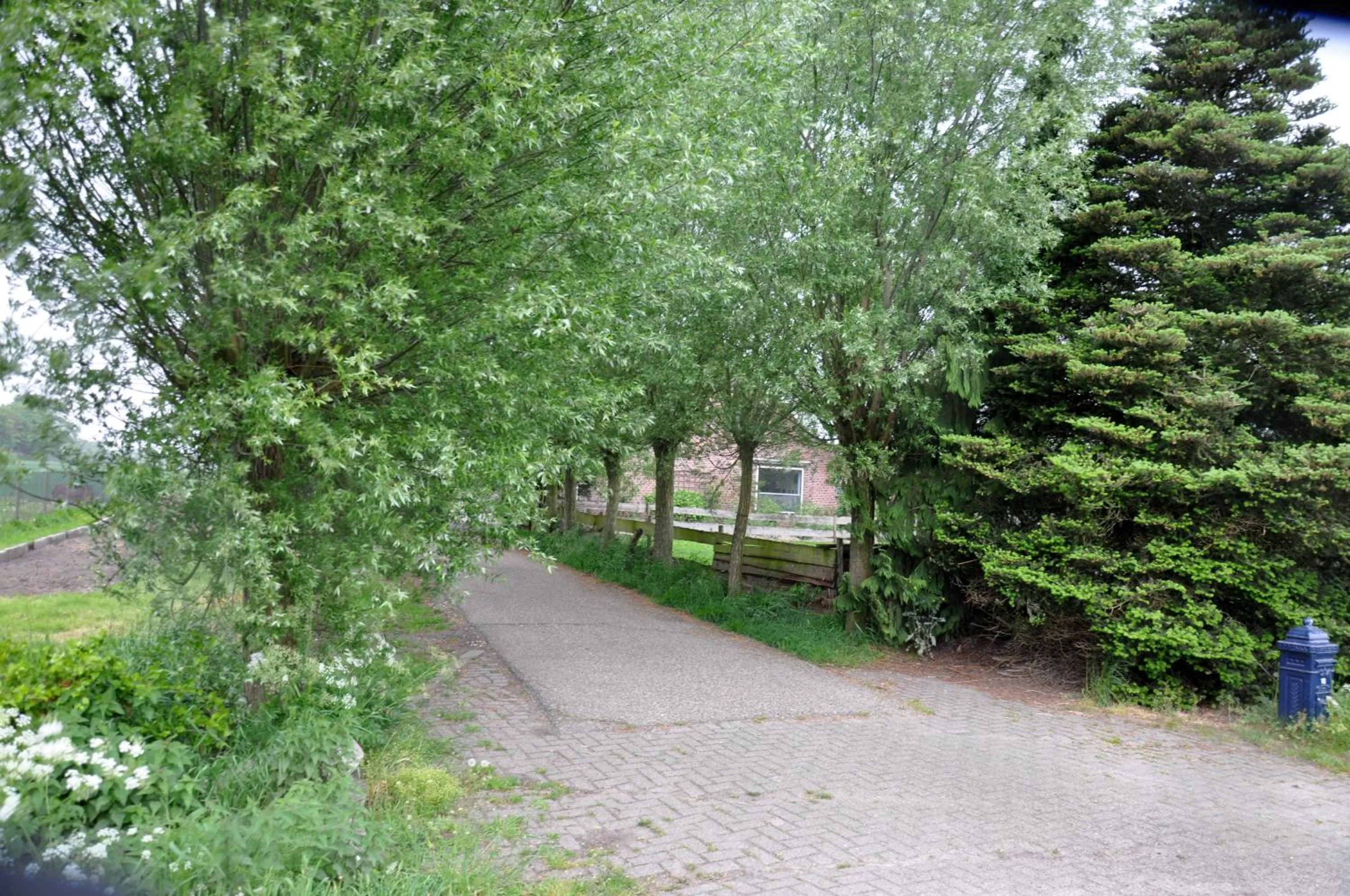 Day in B&B Kelpiebrink