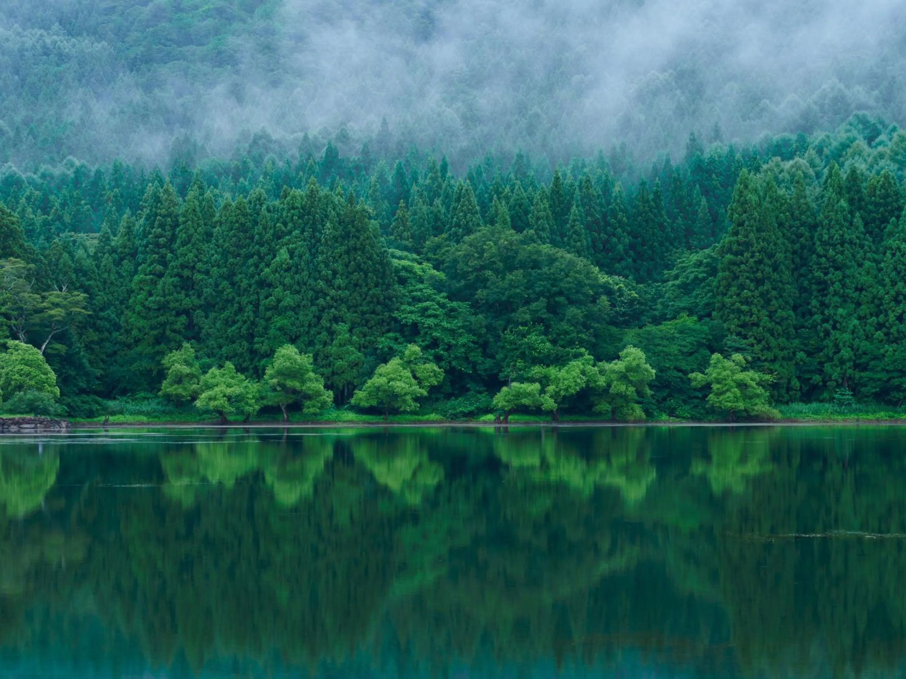 Off site in HOKURYUKO HOTEL North NAGANO