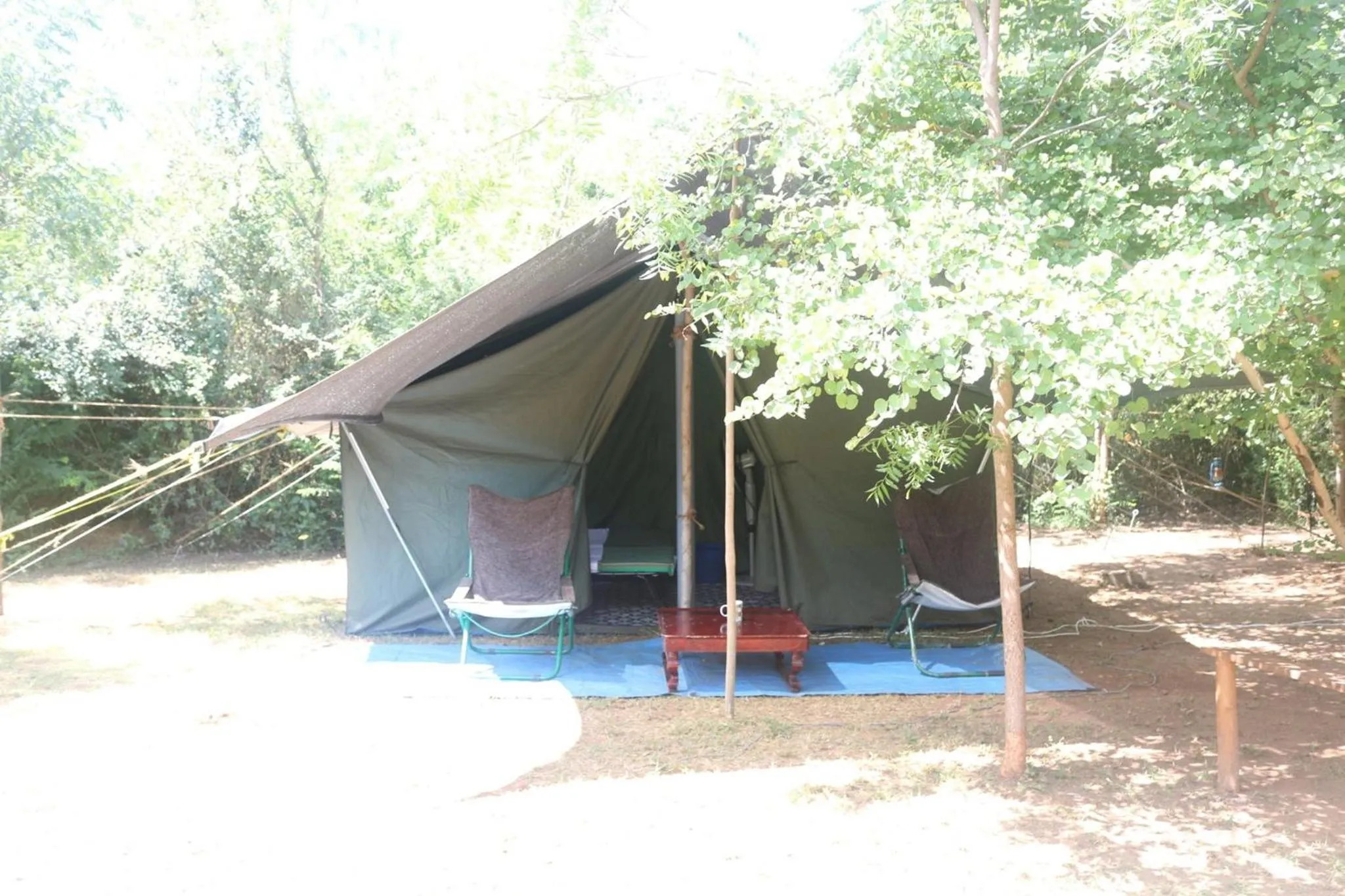 Dev's Campground